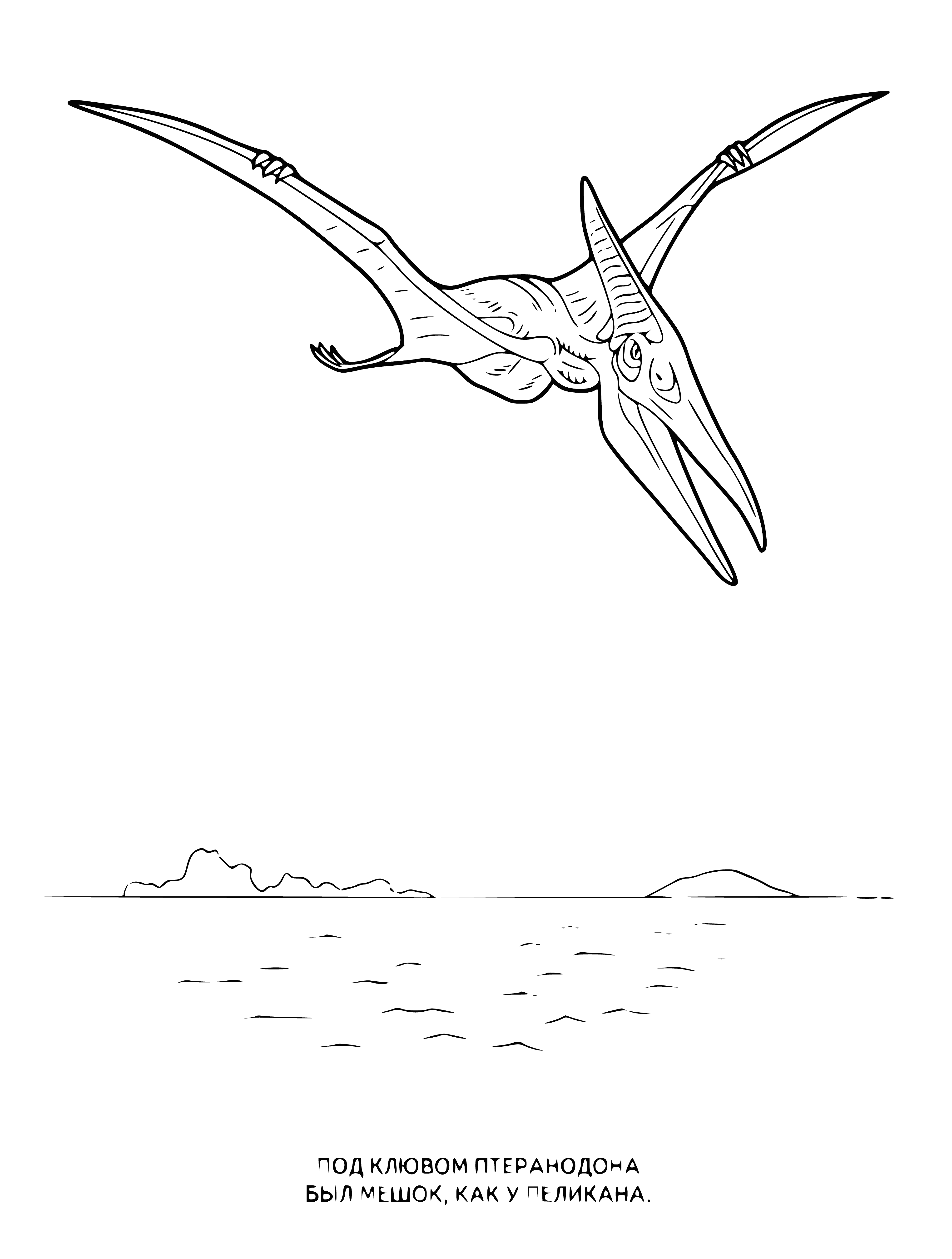 coloring page: A flying reptile w/long beak & neck, two legs, wings w/membrane, & long tail w/membrane at end.