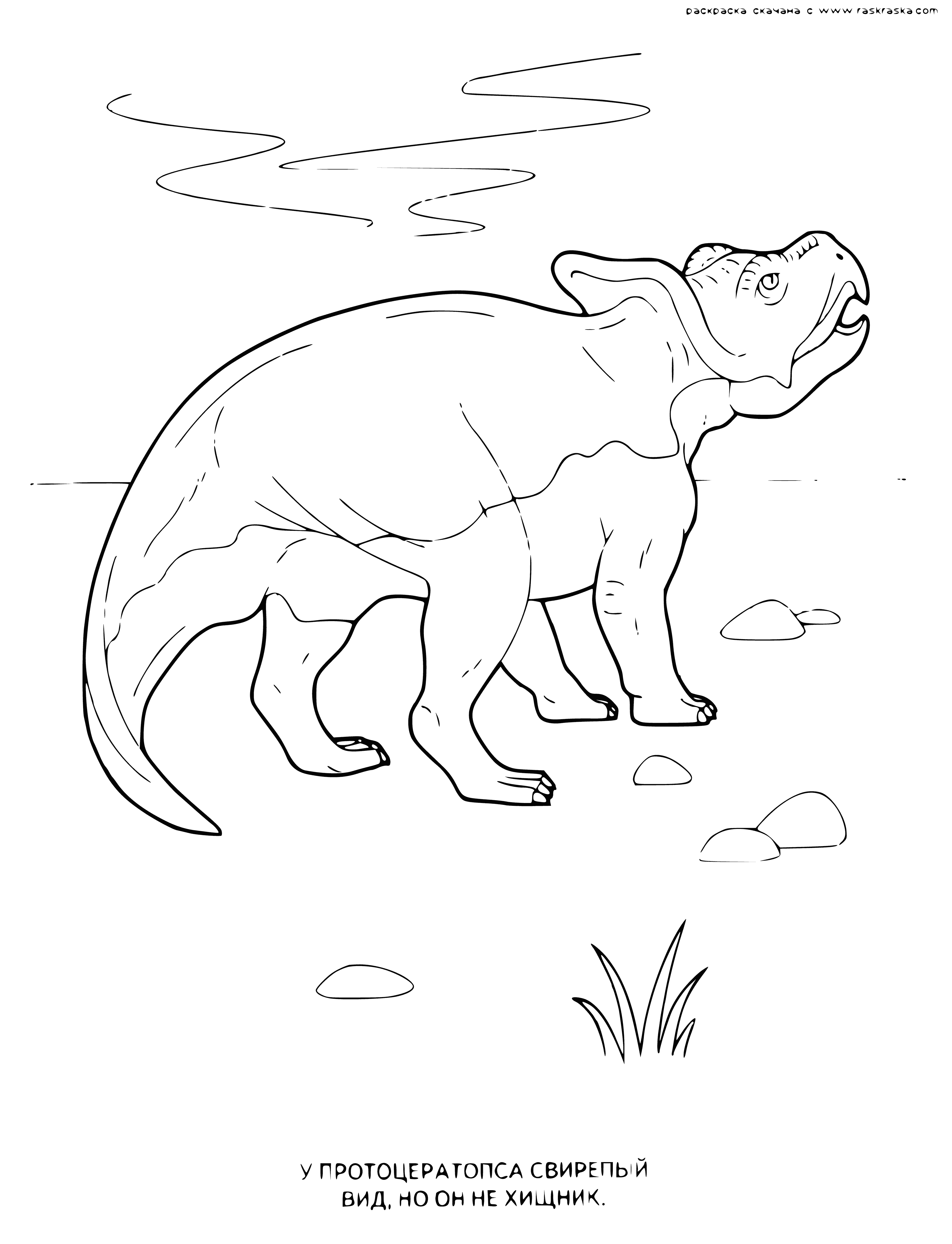 coloring page: Proceratops: 4-legged, beaked herbivore. Lived Late Cretaceous. About size of a sheep.