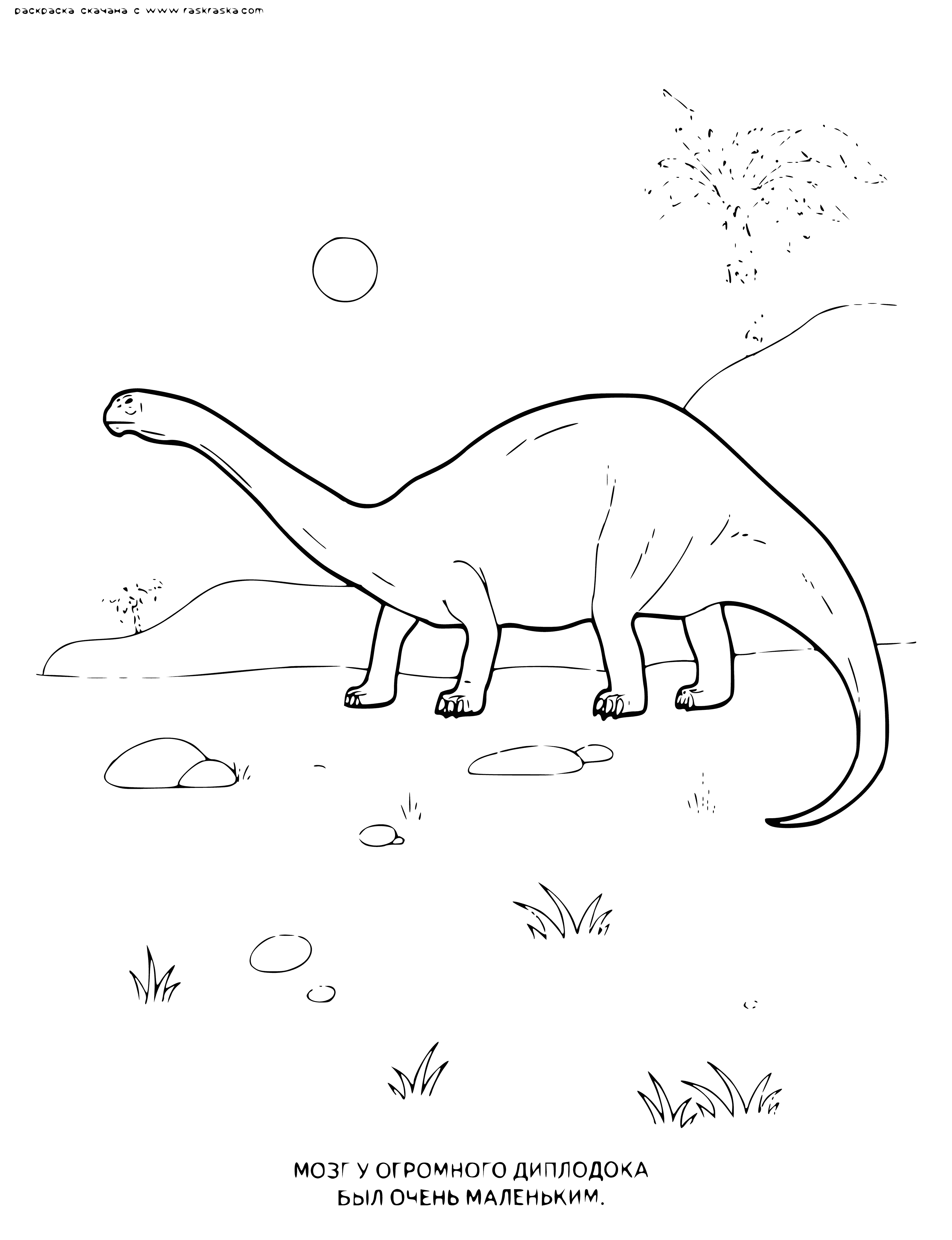 coloring page: Long, thin dino with long neck, small head; thin legs and long tail.