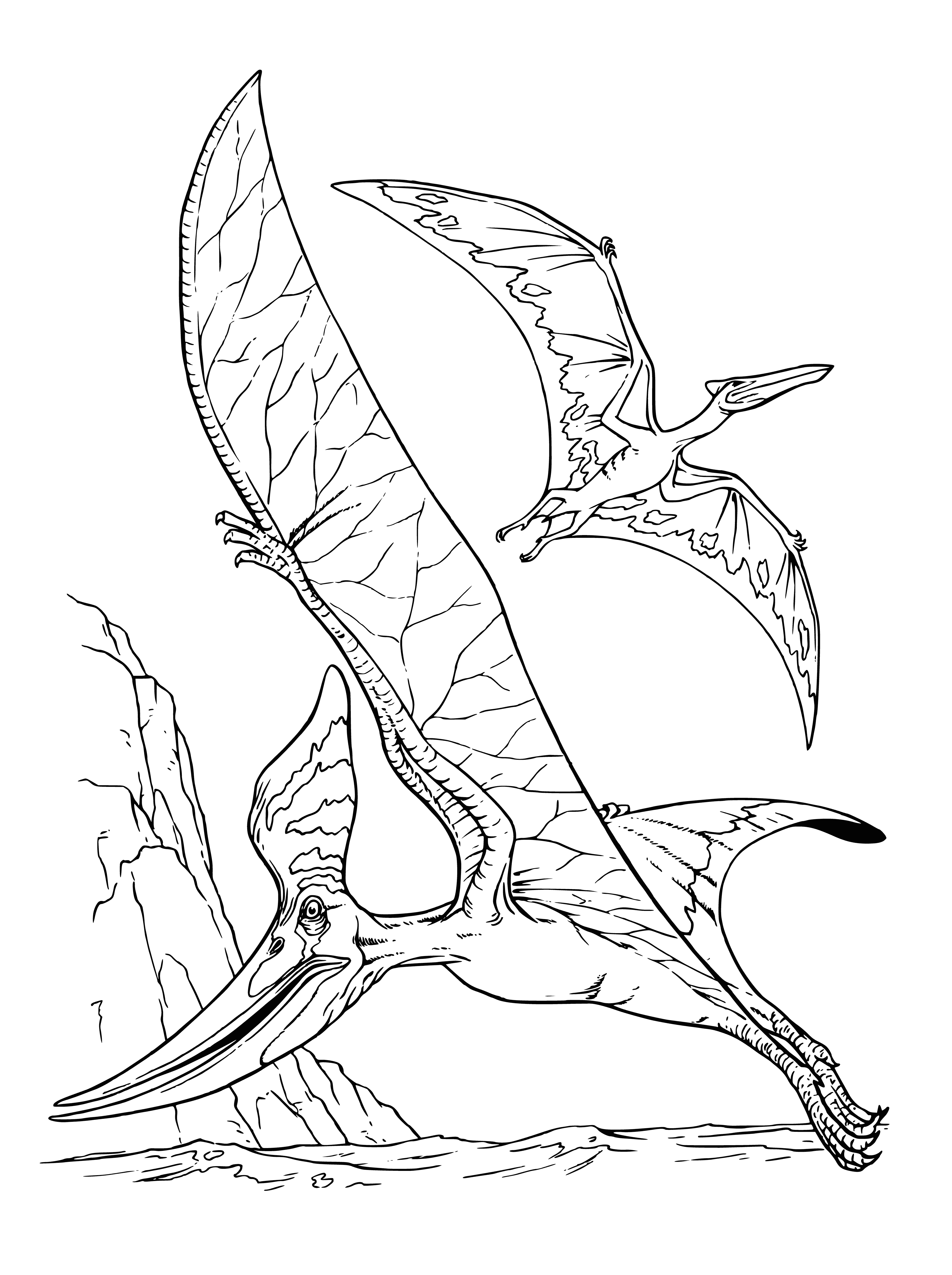 coloring page: Pteranodon is a large flying reptile with a long beak and crest; Pterodactyl is a smaller one with shorter beak and no crest.