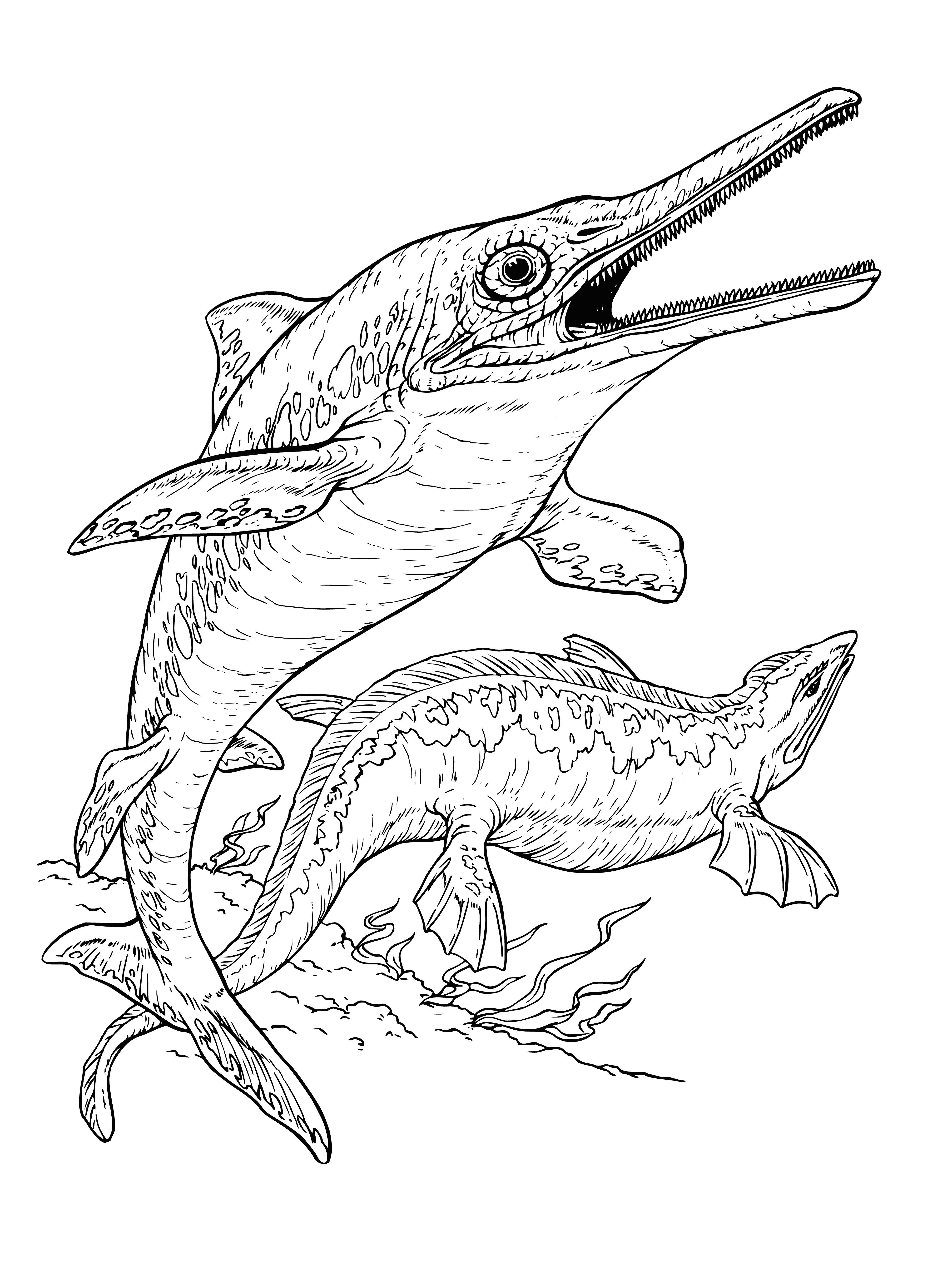 coloring page: Ichthyosaurs were powerful, sea-dwelling predators of the Mesozoic era. Growing up to 50ft long, they had a streamlined body, small head, toothless mouth and sharp teeth. They were adapted to life in the water and were some of the largest predators of their time.