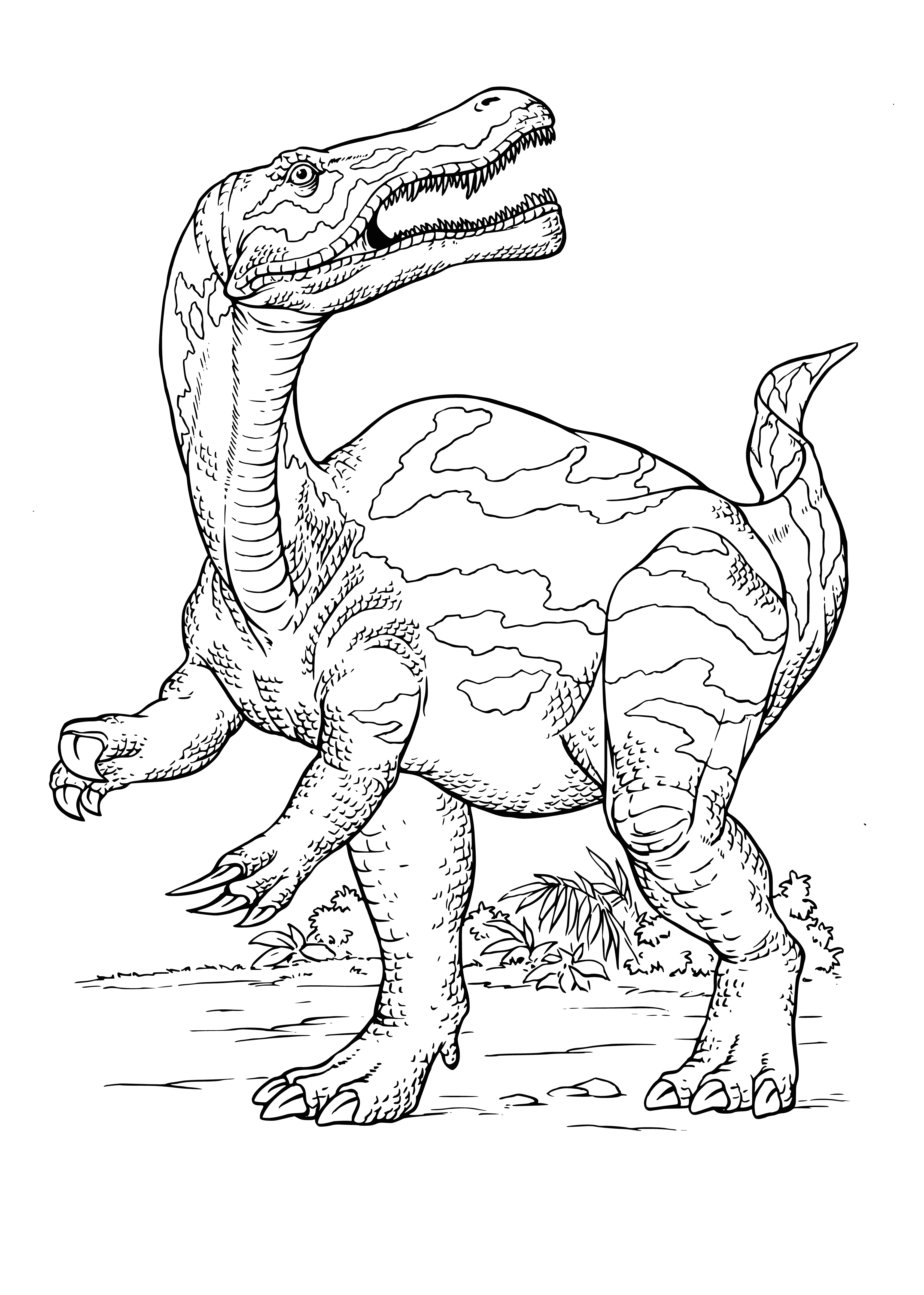 coloring page: A large green dinosaur with a long tail, big head & sharp teeth is depicted on the coloring page.