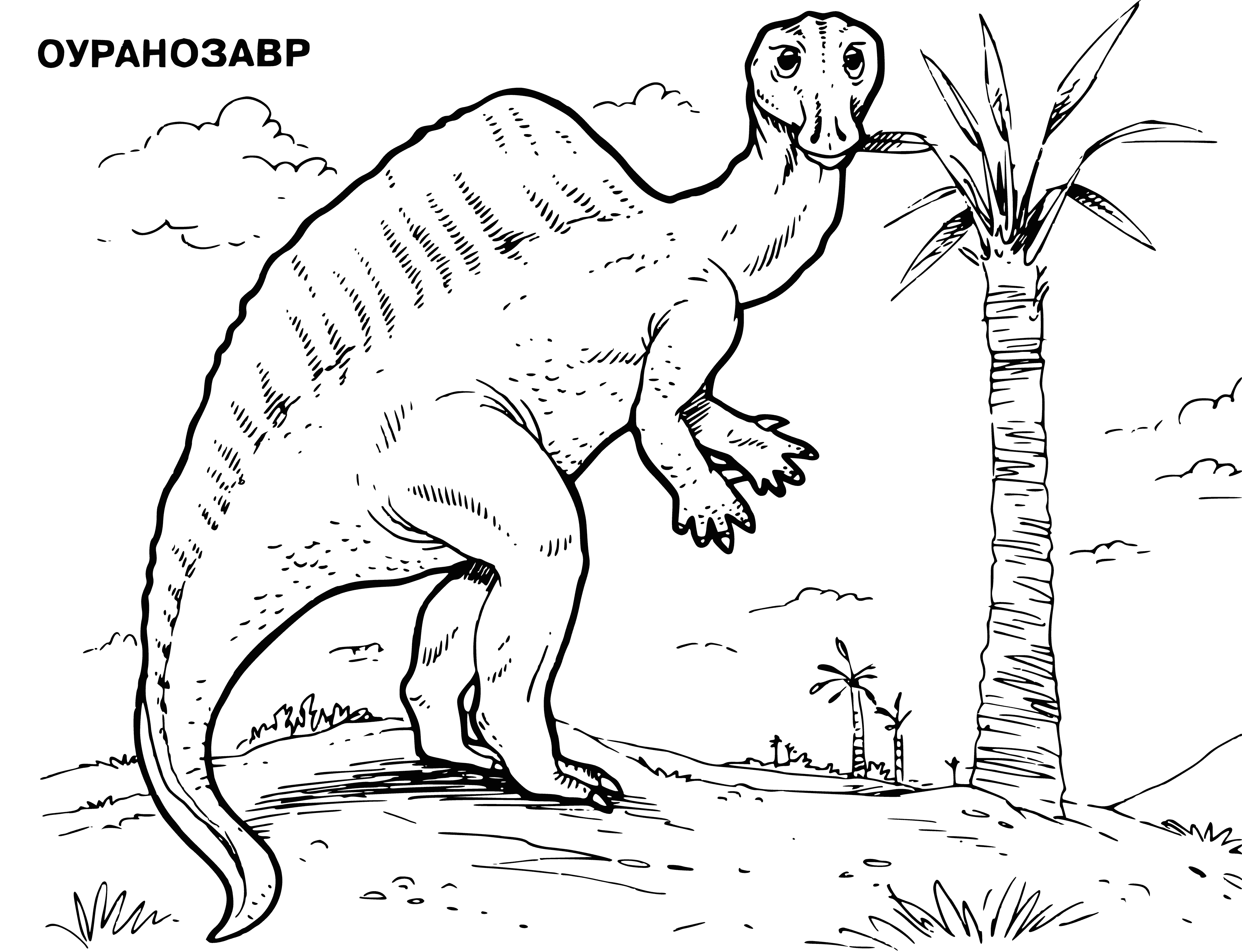 coloring page: Large, plant-eating dinosaur w/ long neck, small head, sharp teeth, 4 legs w/ 5 toes each. Lived 145-65 m. yrs ago, in Late Cretaceous.