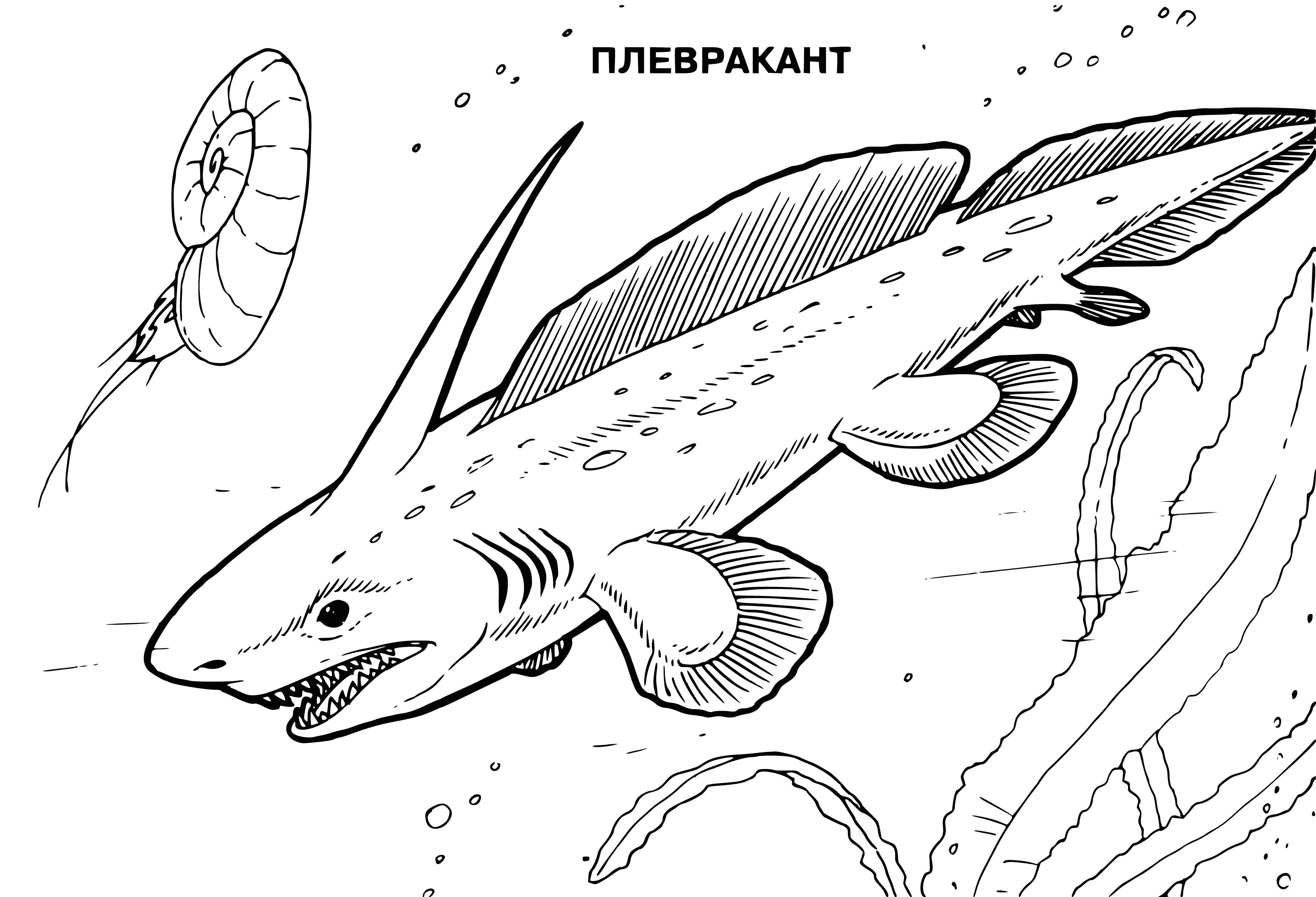 coloring page: Plevracants were herbivorous dinosaurs with long necks & small heads. They lived in herds during the late Cretaceous period.