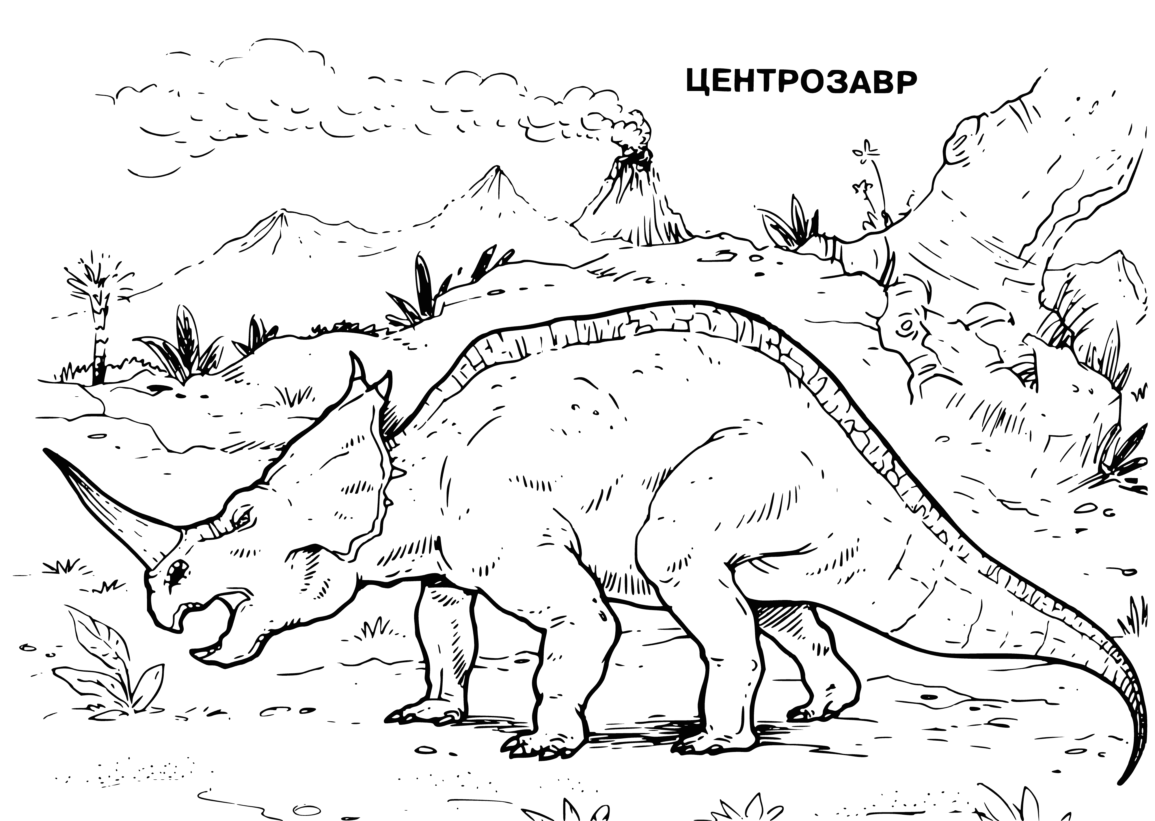 coloring page: Centrosaurus was a plant-eating dinosaur 18ft long and 2tons, with long neck/tail, horn on nose and horns on cheeks, small brain.