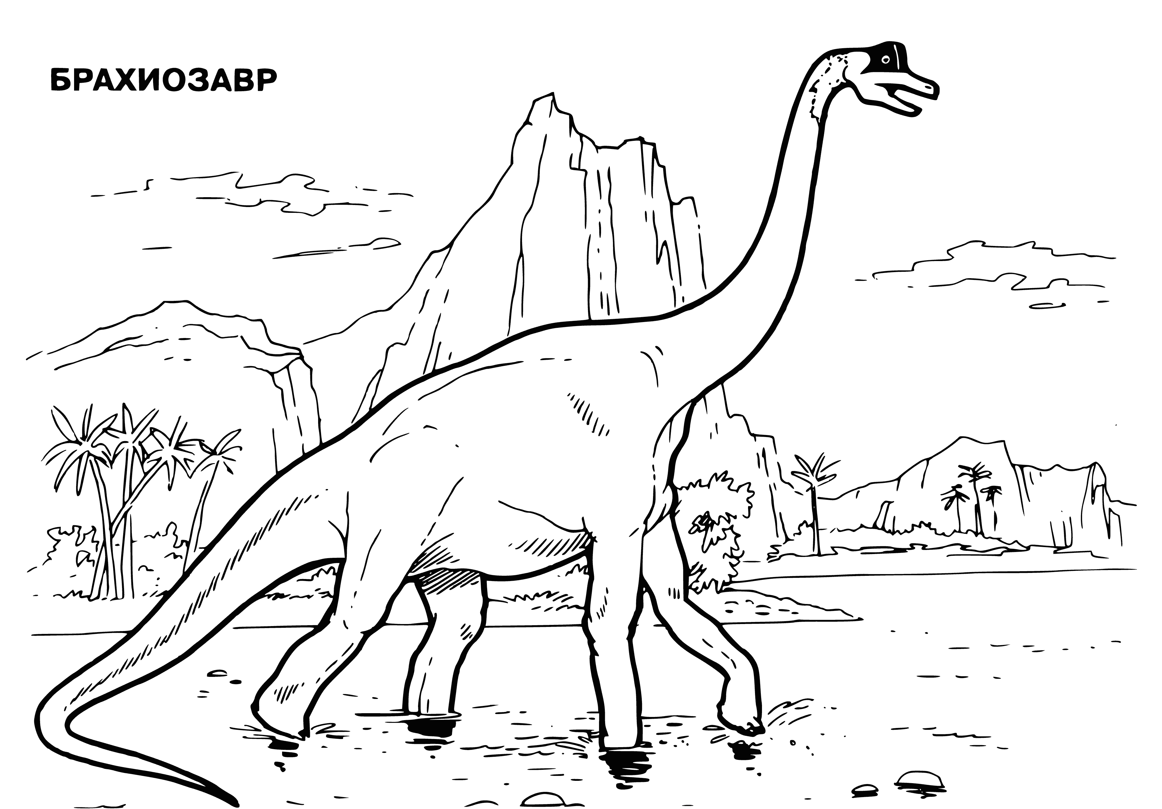 coloring page: Large long-necked dinosaur with gray body & white belly. Small head, beak & teeth. Two long legs & two short. Tail long & thin.
