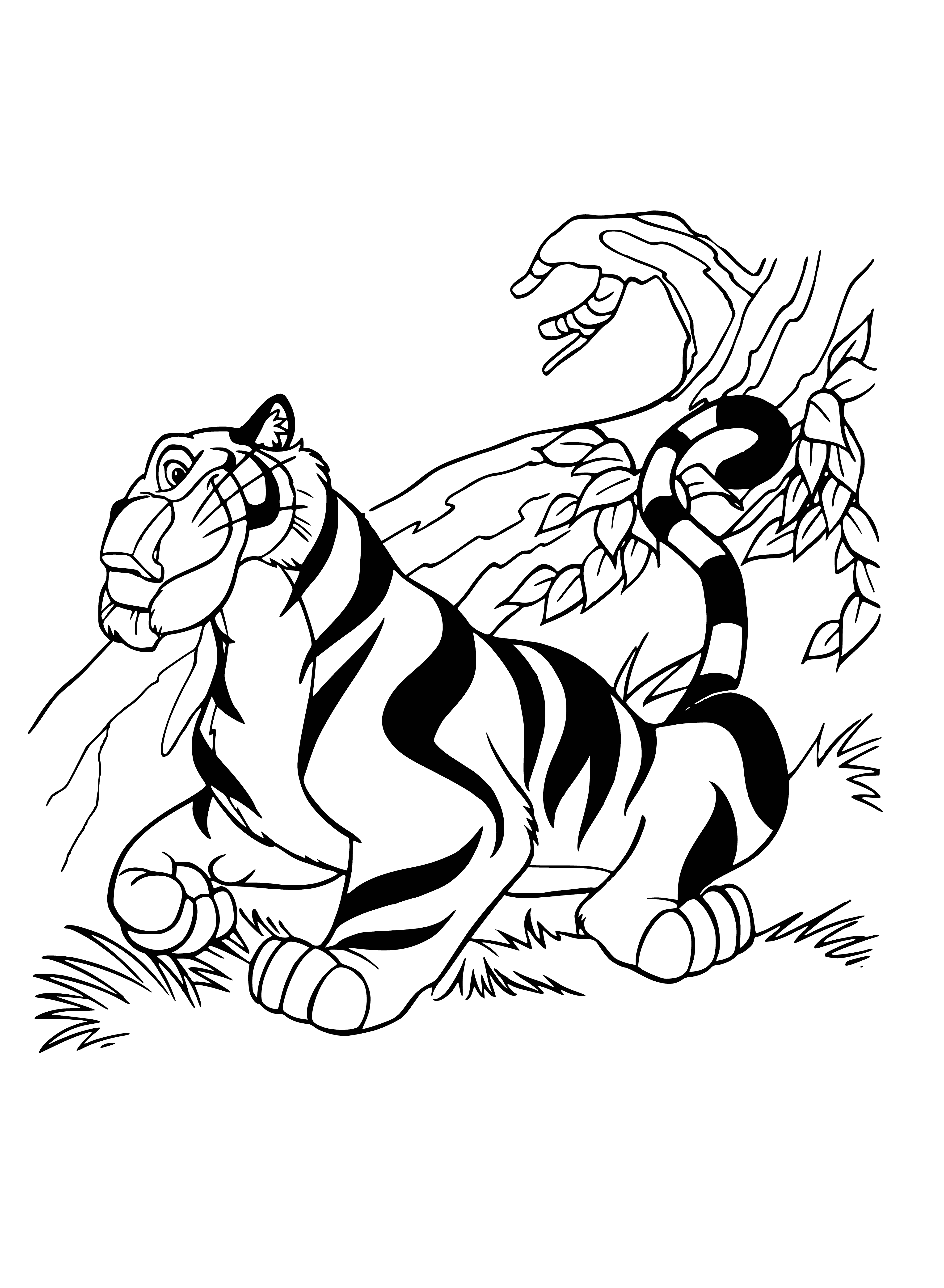 coloring page: Woman stands before tiger in purple, gold outfit. A delightful, majestic sight!