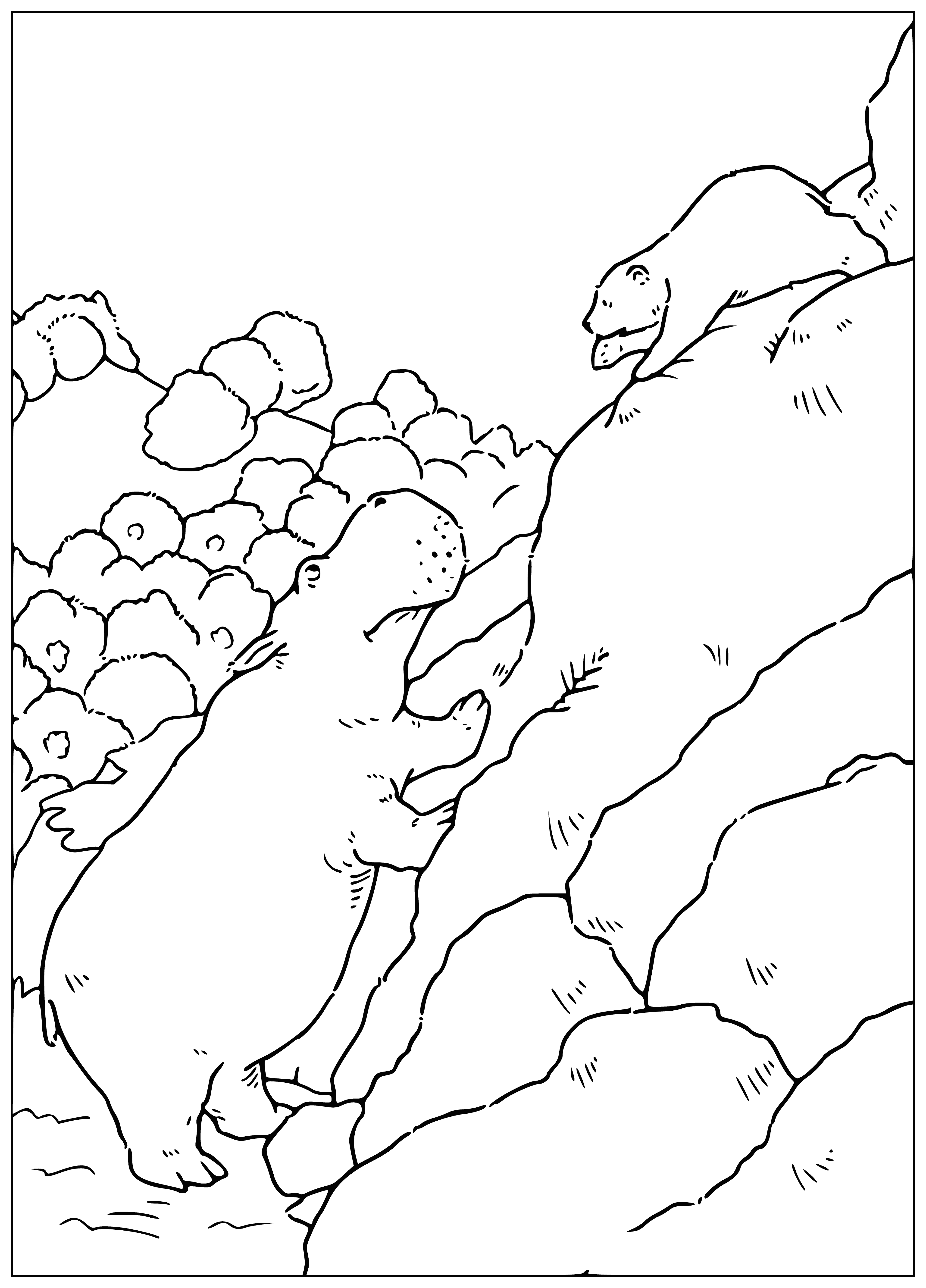 coloring page: Behemoth and Lars are having fun playing together - the large blue-grey bear tossing the white-grey cub in the air while they both laugh.