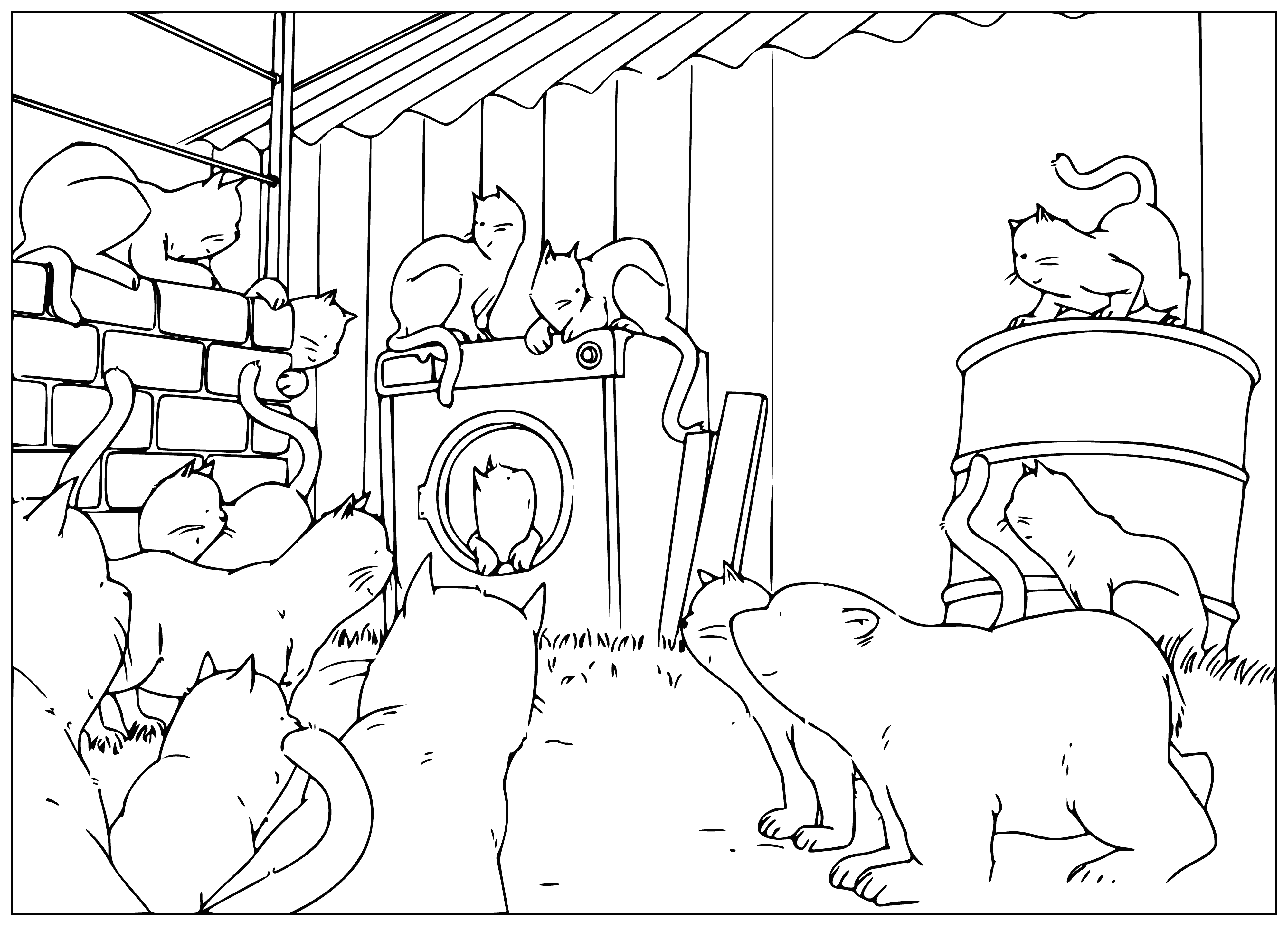 coloring page: Small polar bear sitting on ice surrounded by 3 cats walking towards him.