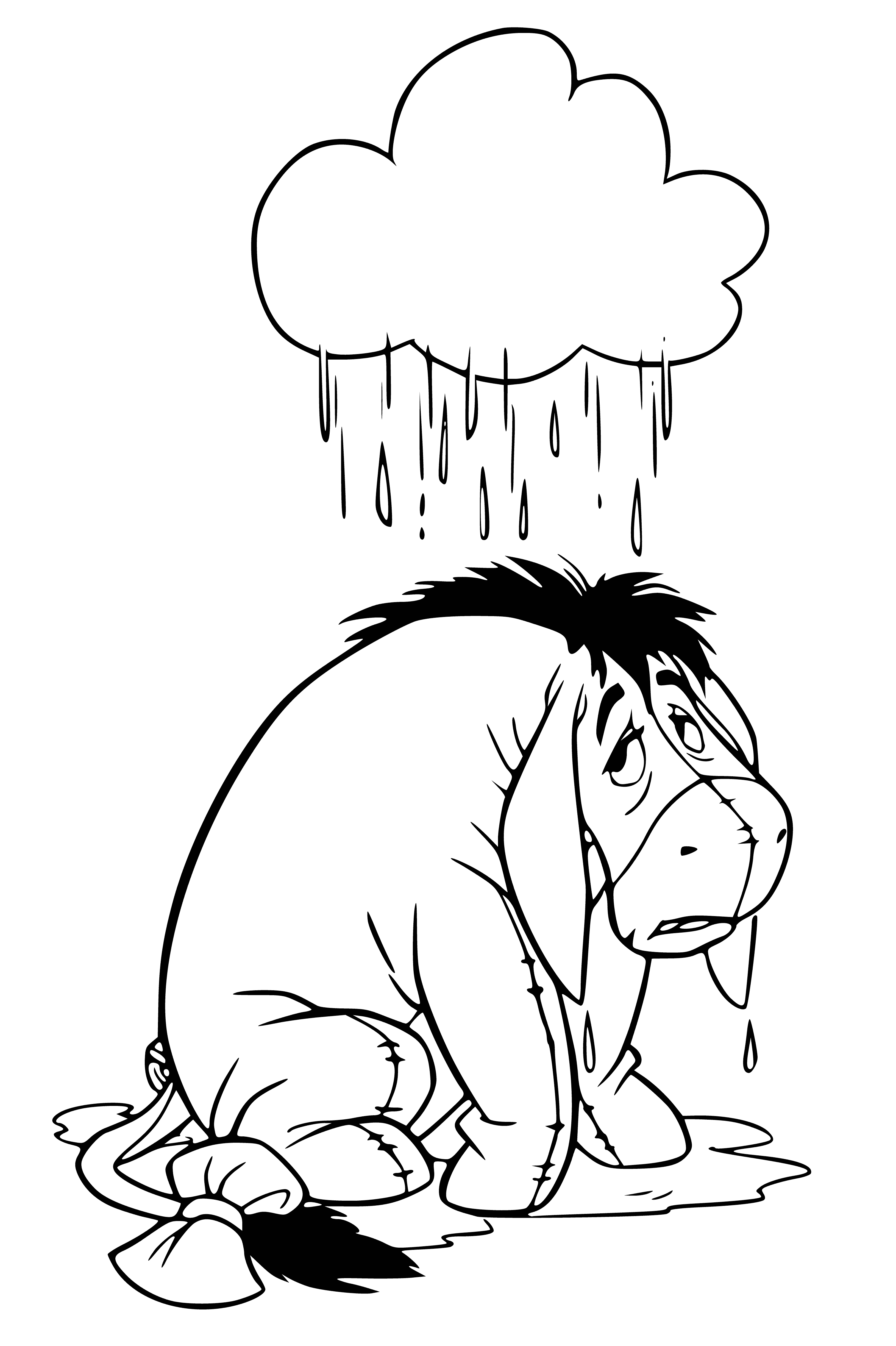 coloring page: Donkey stands in puddle of water in hard rain, getting soaked. #endangeredanimals #rainyday