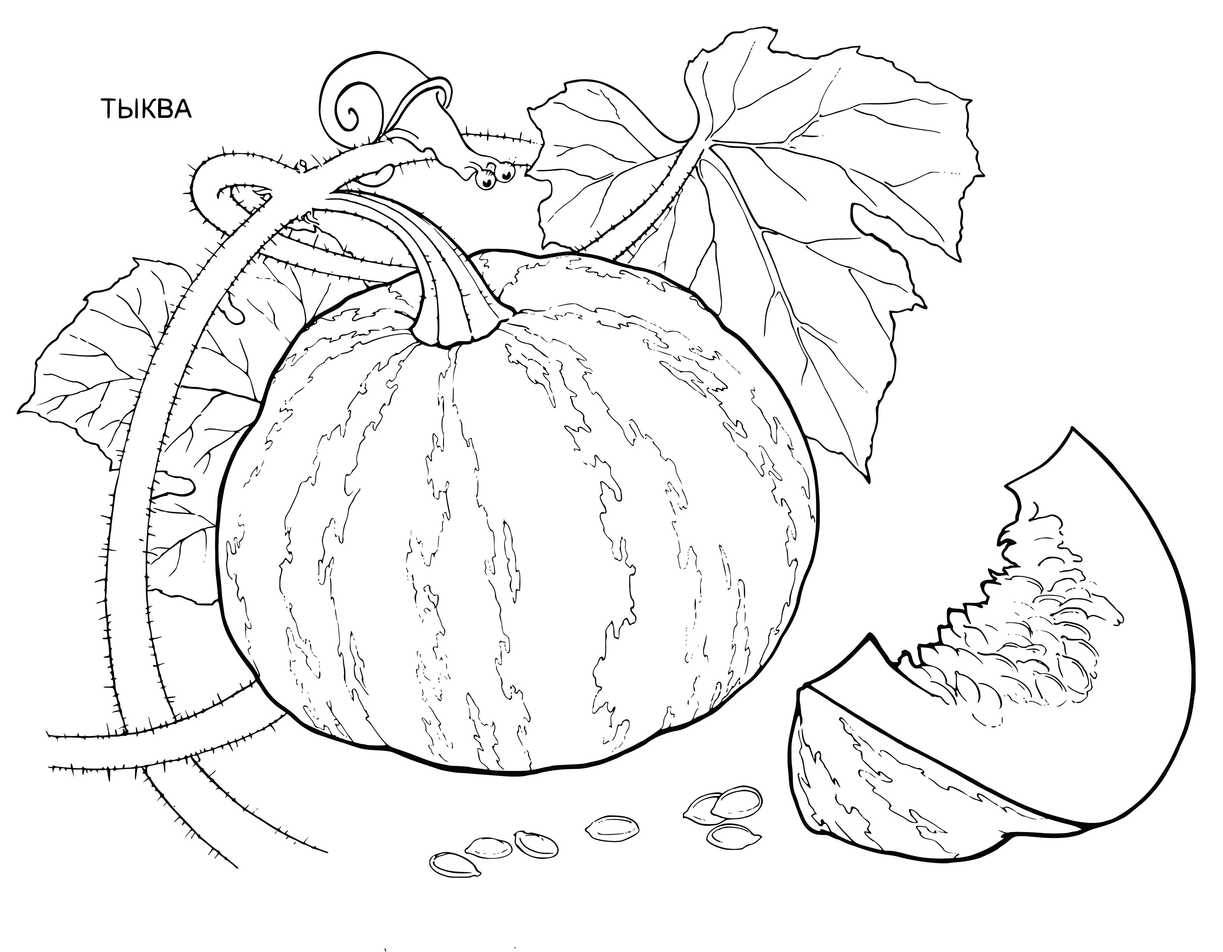 coloring page: Pumpkins are round, orange fruits with green stems, used for Halloween decorations.