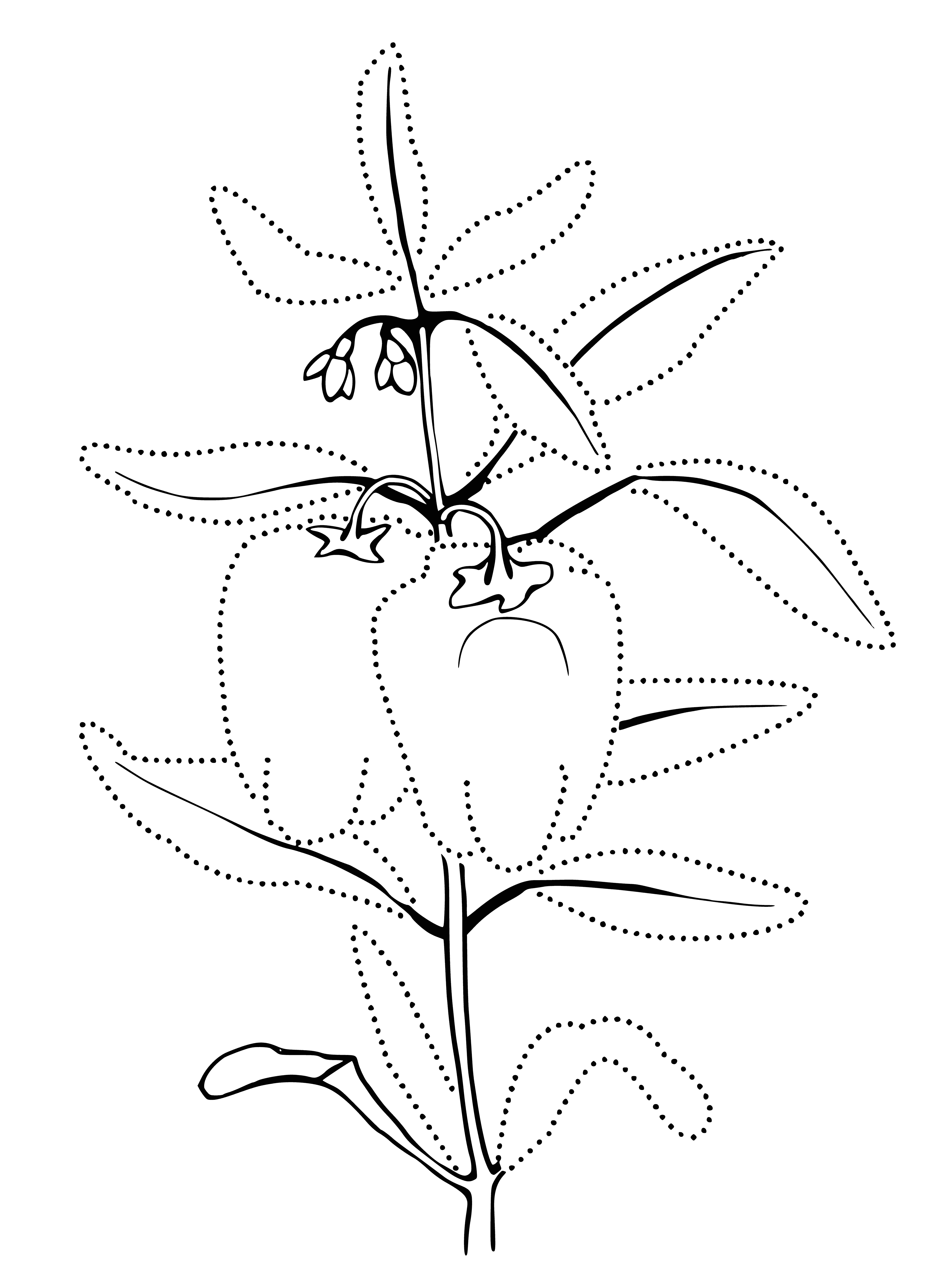 coloring page: Bell peppers are members of the nightshade family, don't produce capsaicin, and come in multiple colors.
