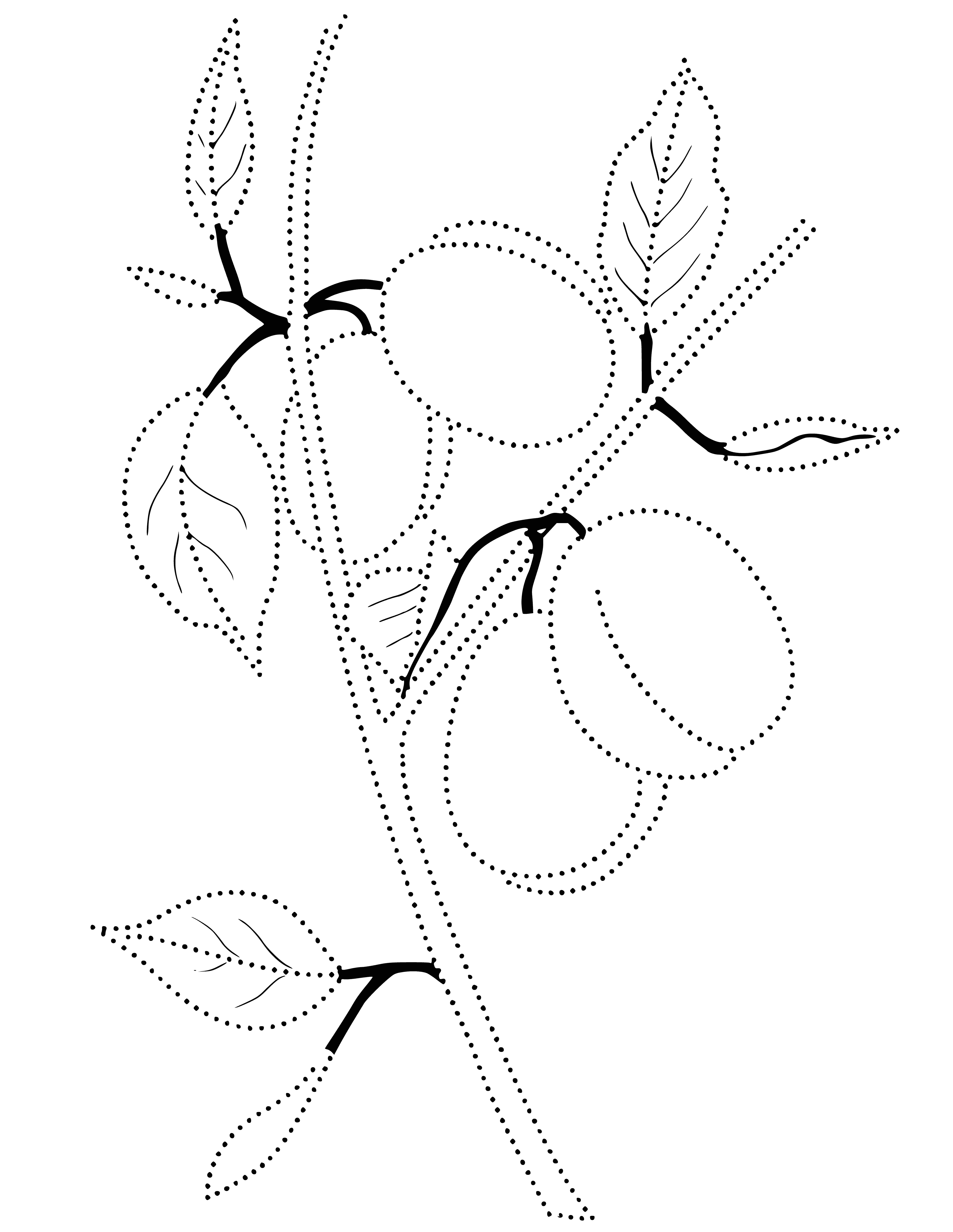 coloring page: 3 dark purple plums arranged on a branch against a light purple background creating a glossy cluster.