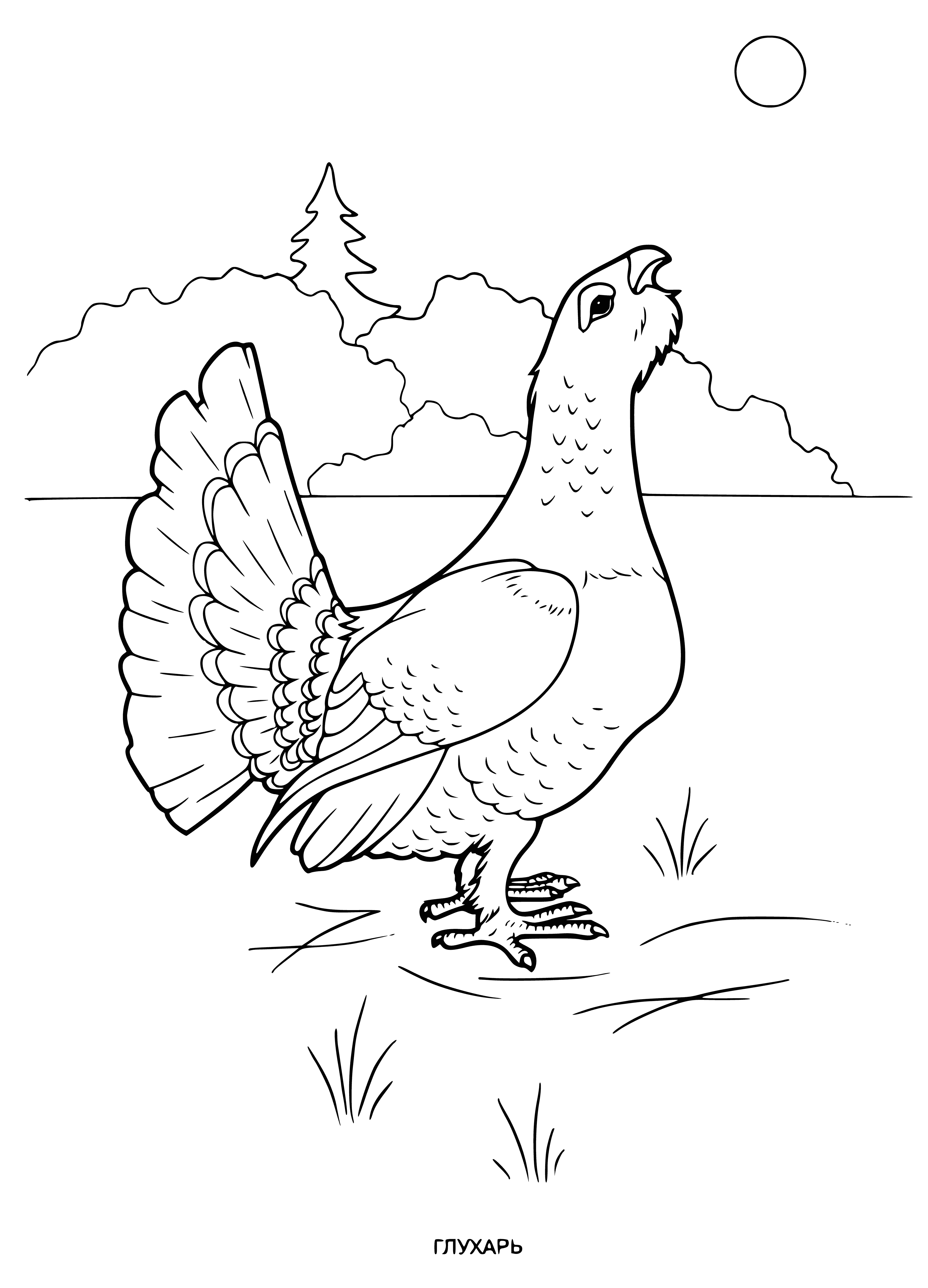 coloring page: Bird perched on branch. Light brown w/darker markings, folded wings, long, dark tail, short, yellow beak, long, yellow legs.