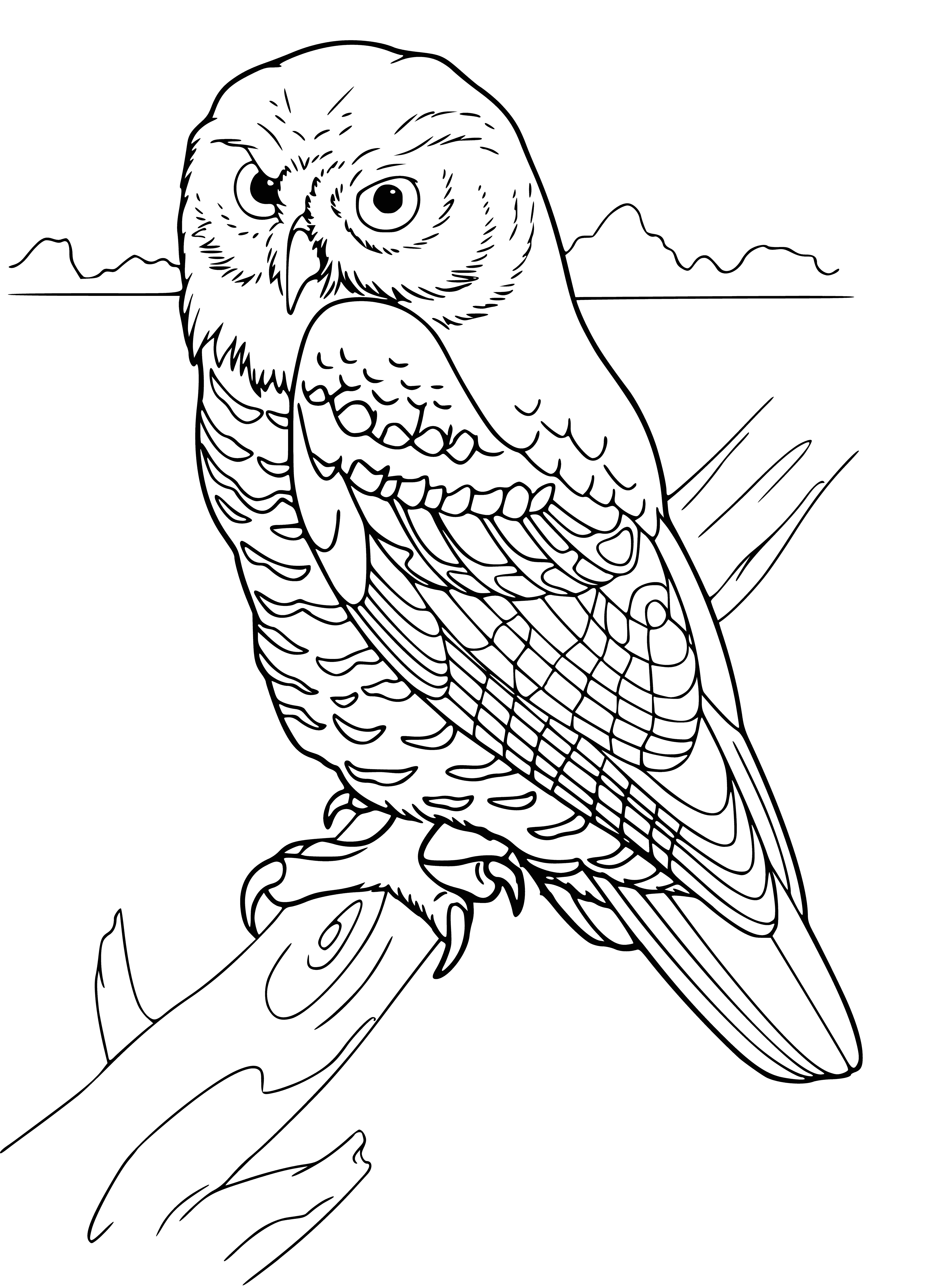 coloring page: Large bird with big eyes, hooked beak, brown w/ white spots & long wings, perched on a branch.