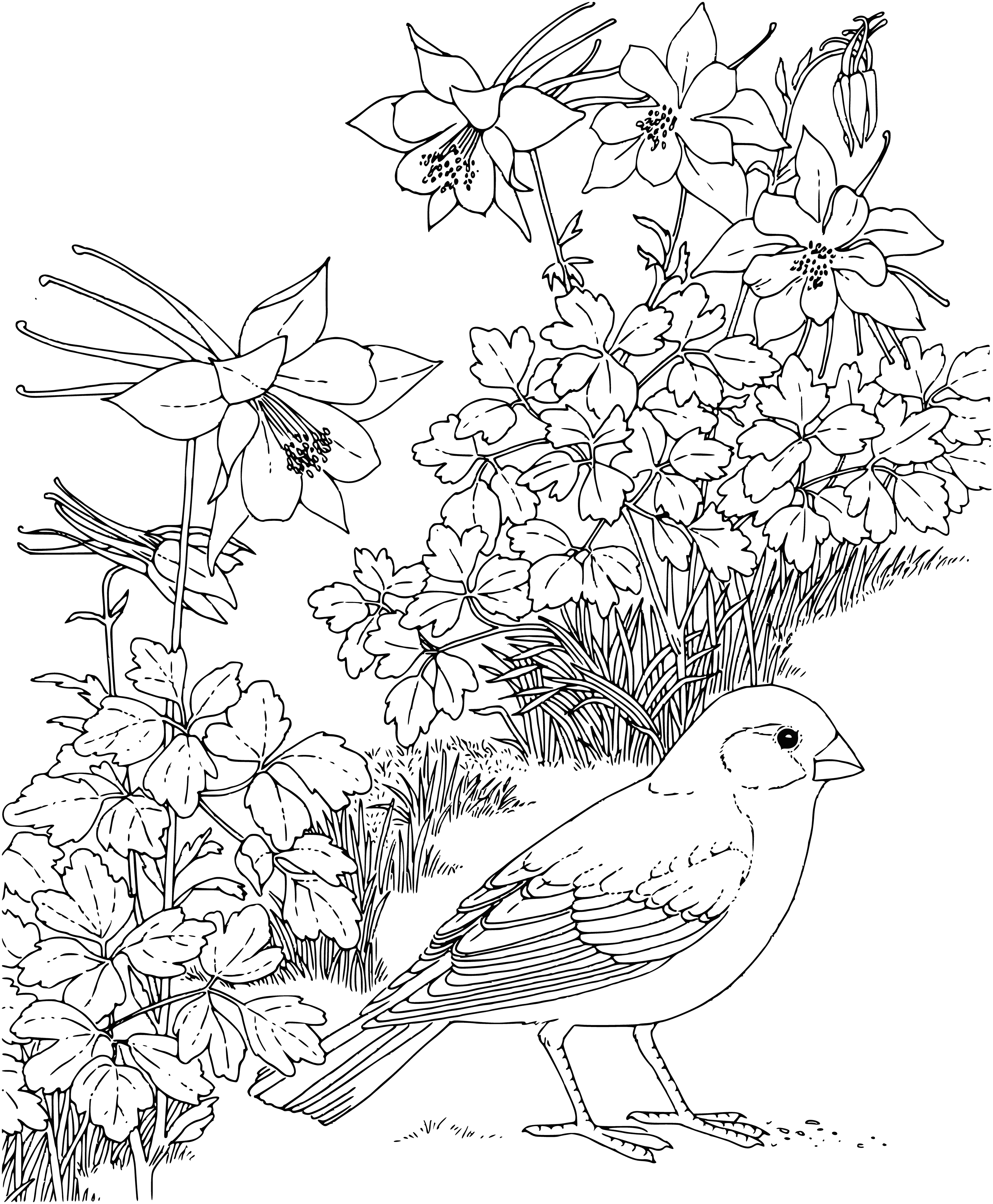 coloring page: White bird in center of coloring page w/ oatmeal & fork, wings out, eyes closed.