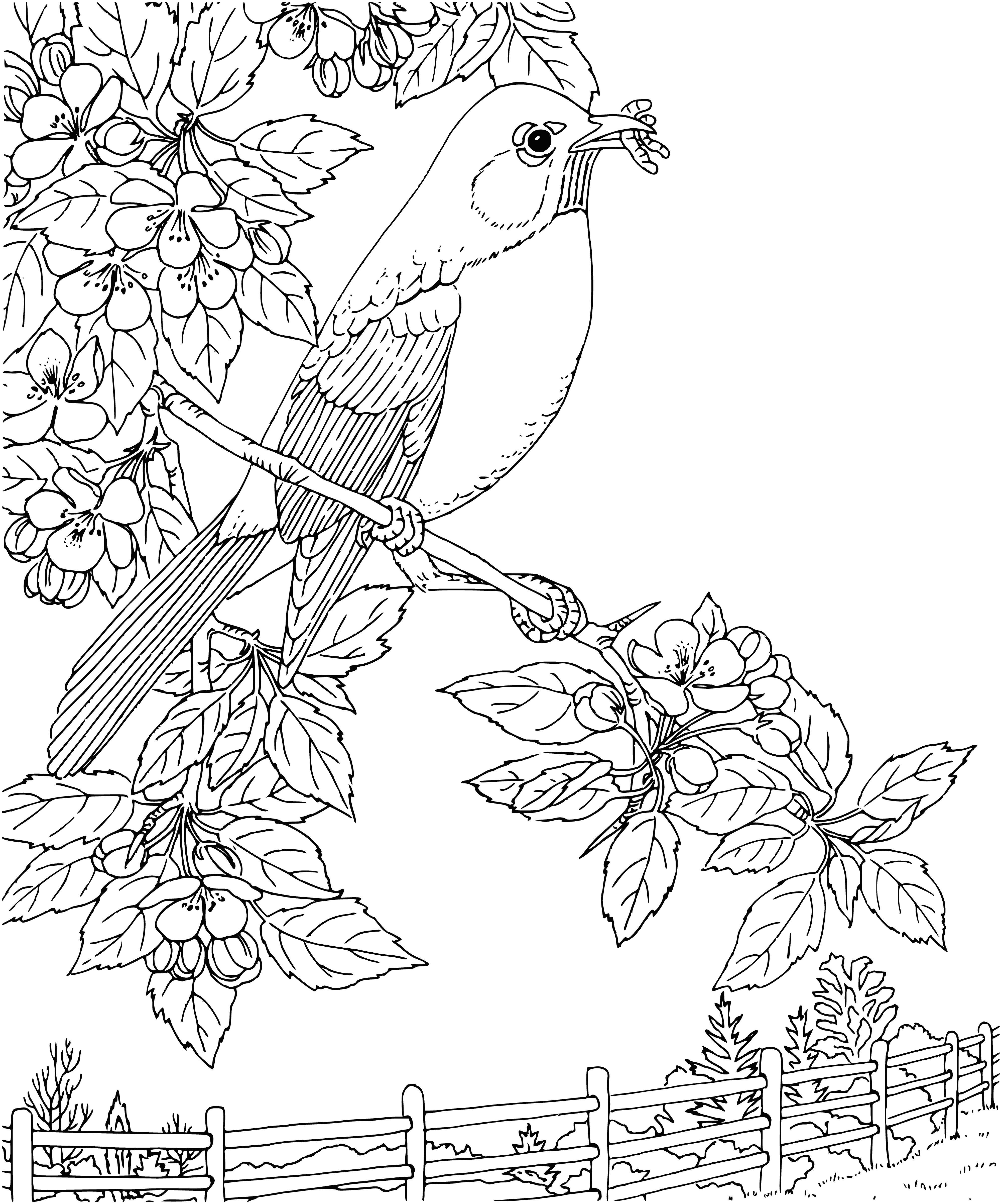coloring page: Many birds of different colors soar over the village of Malinovka, some in formation, others alone.