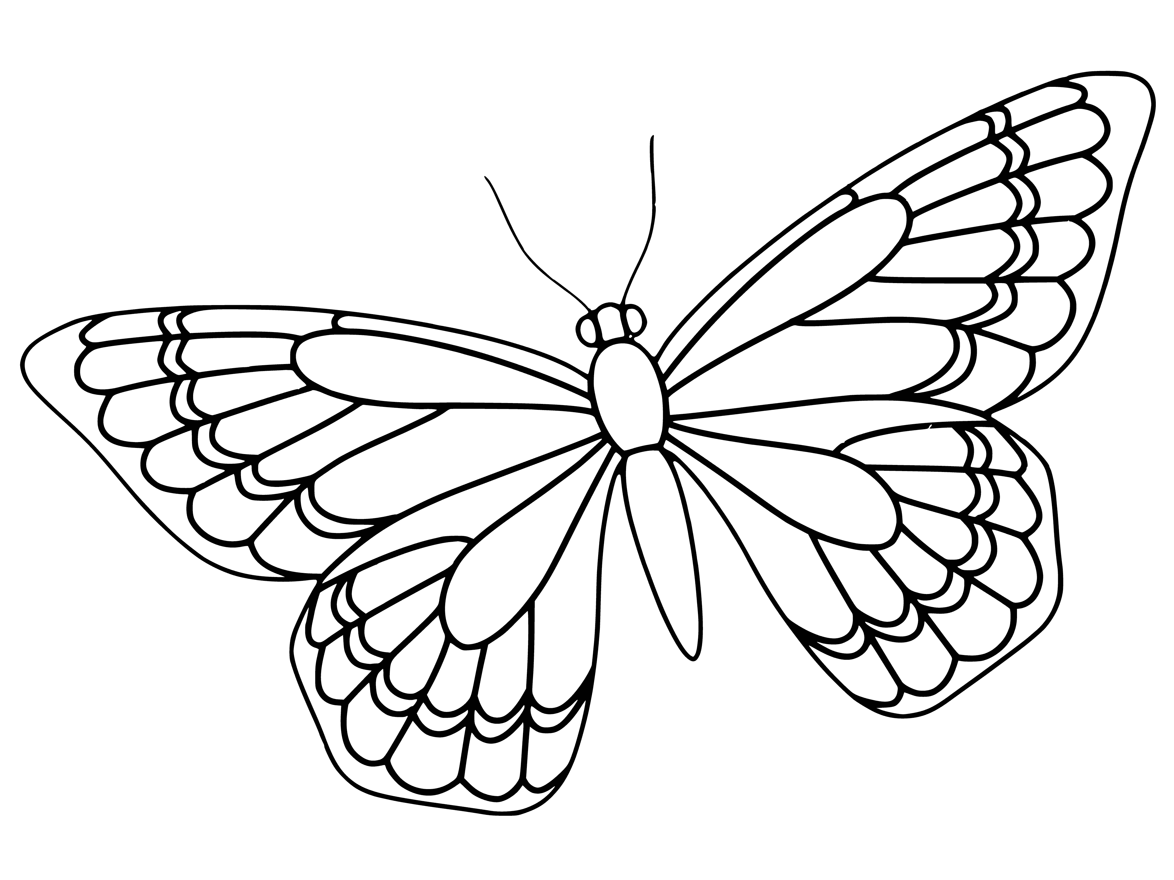 coloring page: Two butterflies, orange & yellow, fly with open wings against green background.
