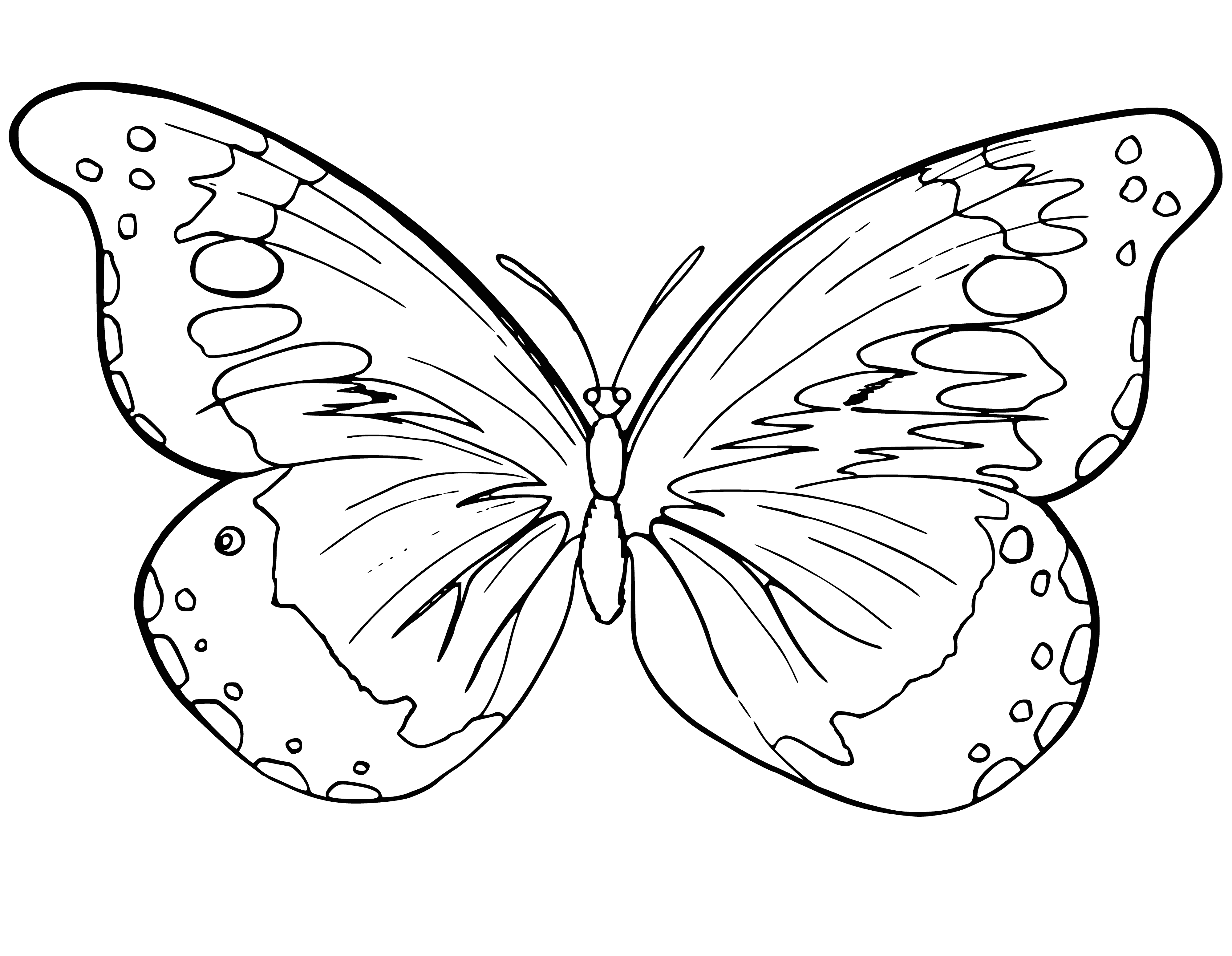 coloring page: Butterflies flying in the sky of different colors, some flapping their wings & others gliding in front of a white background. #beauty
