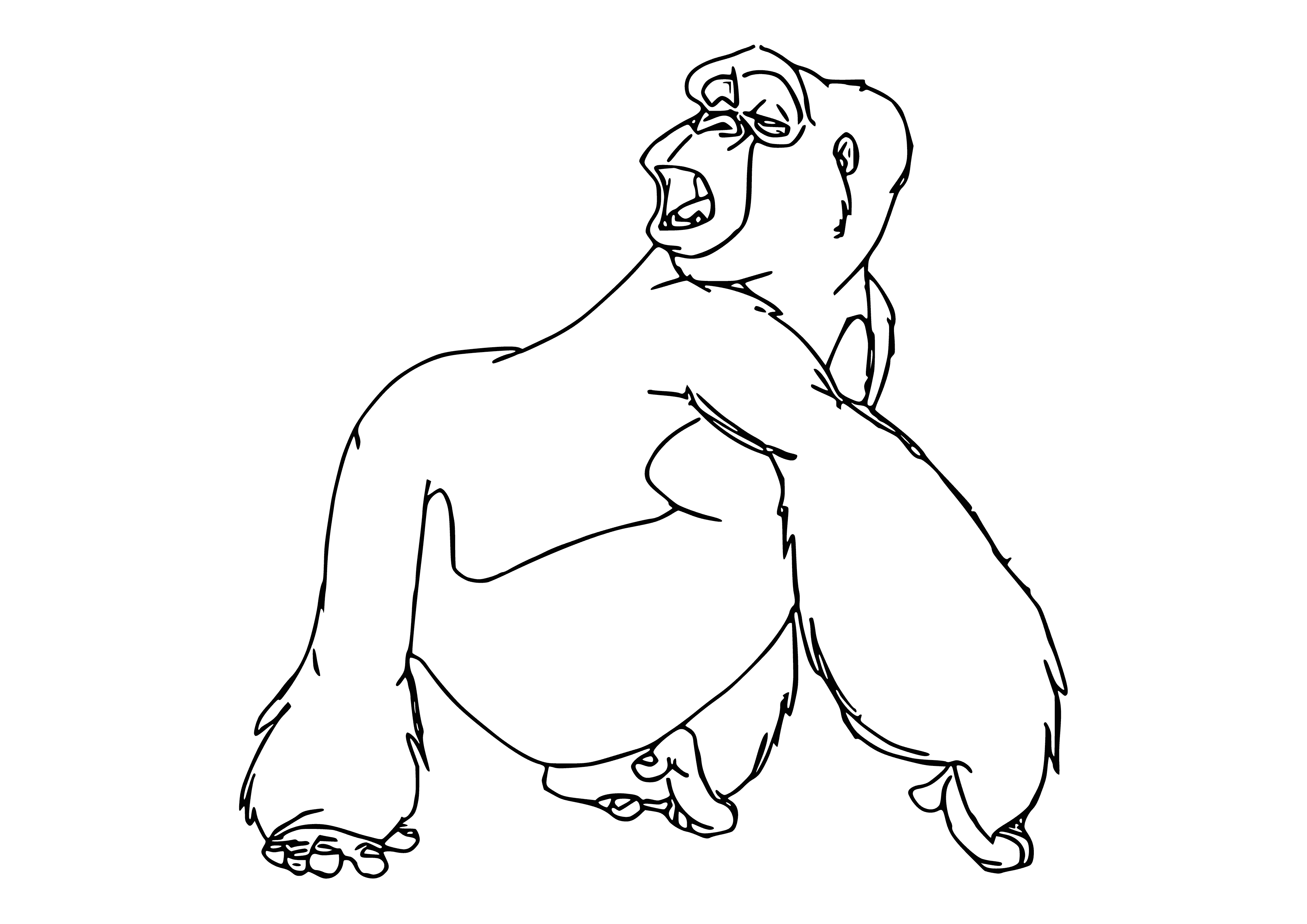 coloring page: Kala is the center of attention in a group of gorillas, with light brown fur and dark eyes. She is admired by the other gorillas.