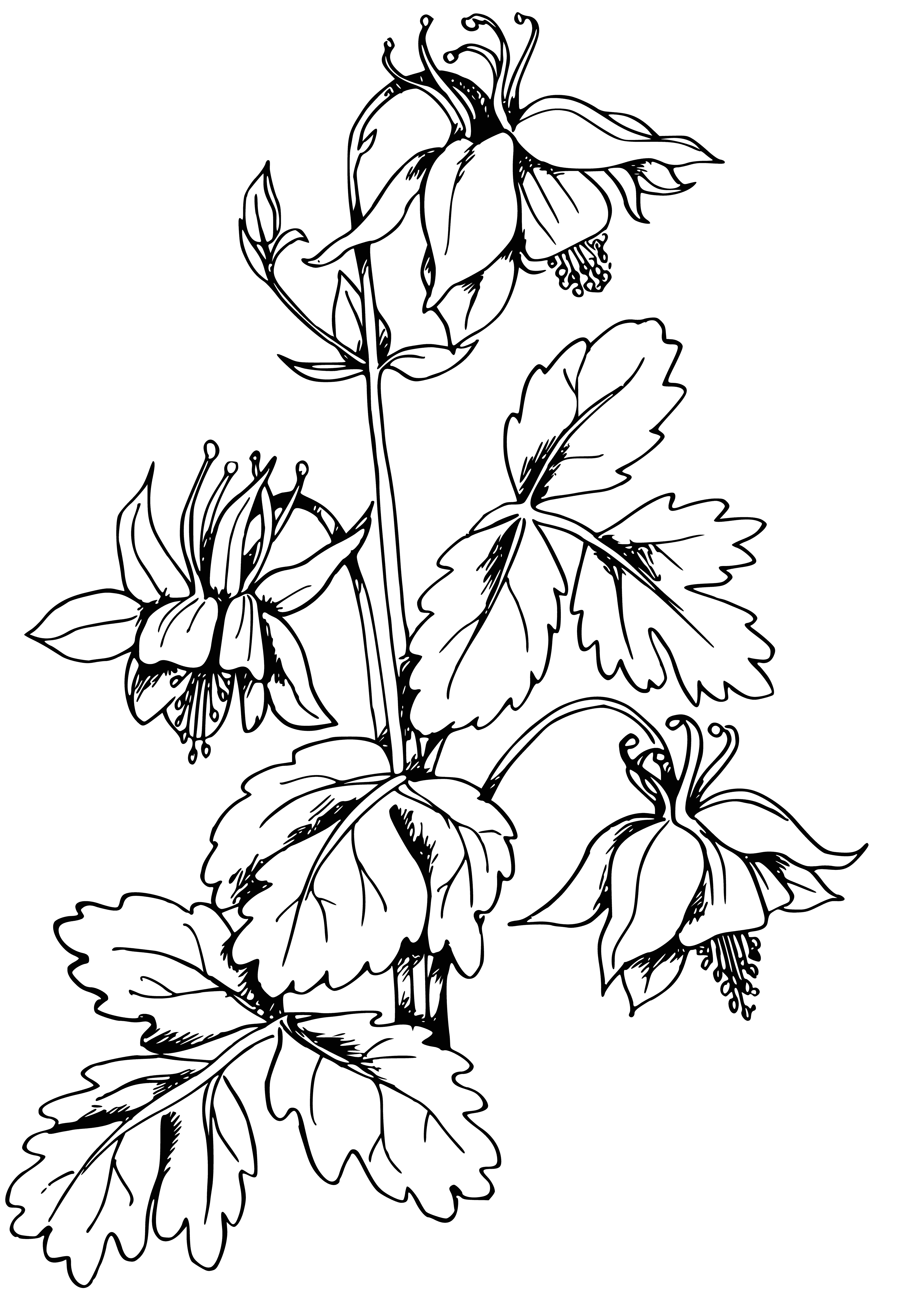 coloring page: #FuchsiaLove