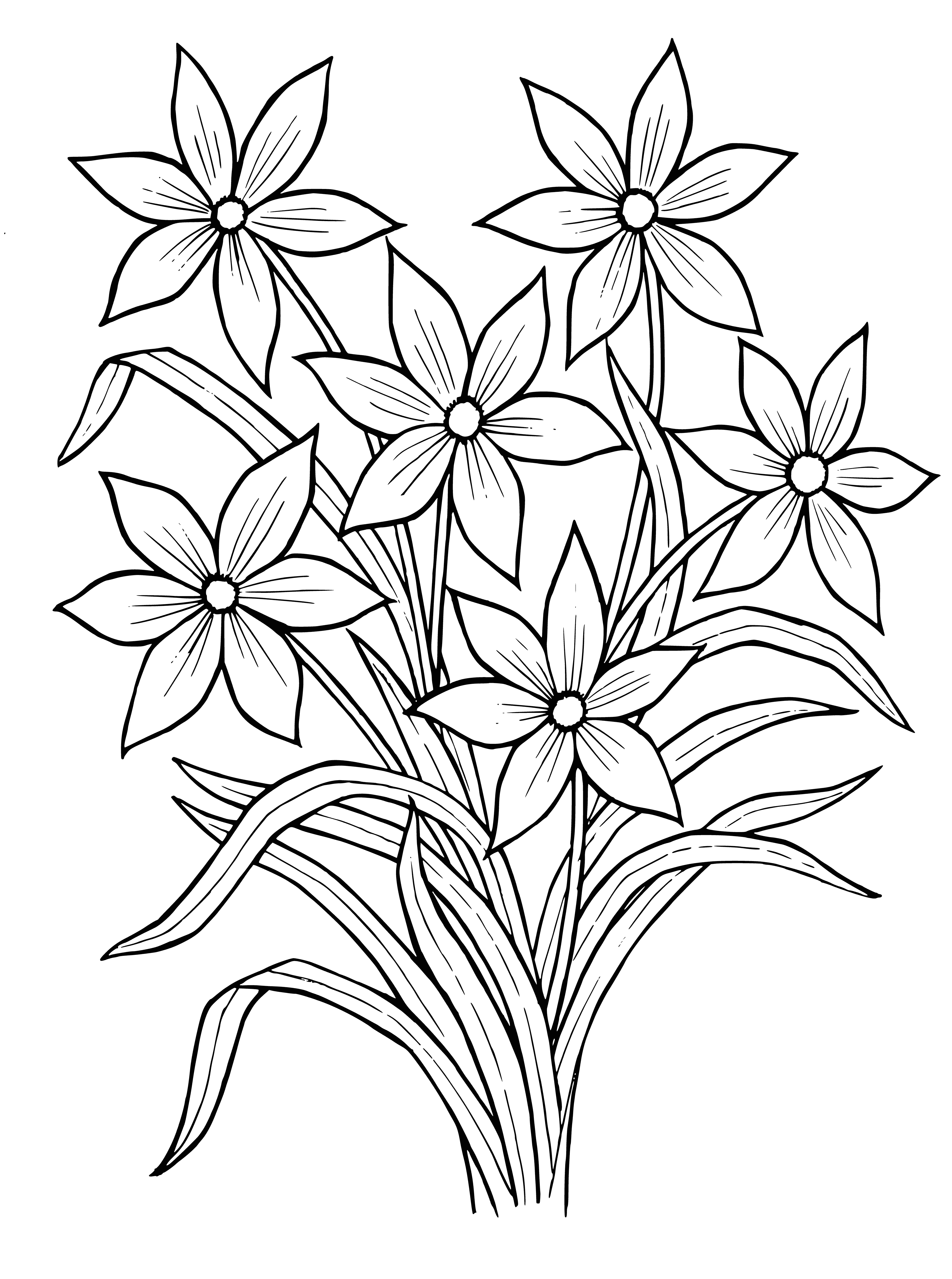 coloring page: Field of white narcissus blooming with yellow centers in a lush green landscape.