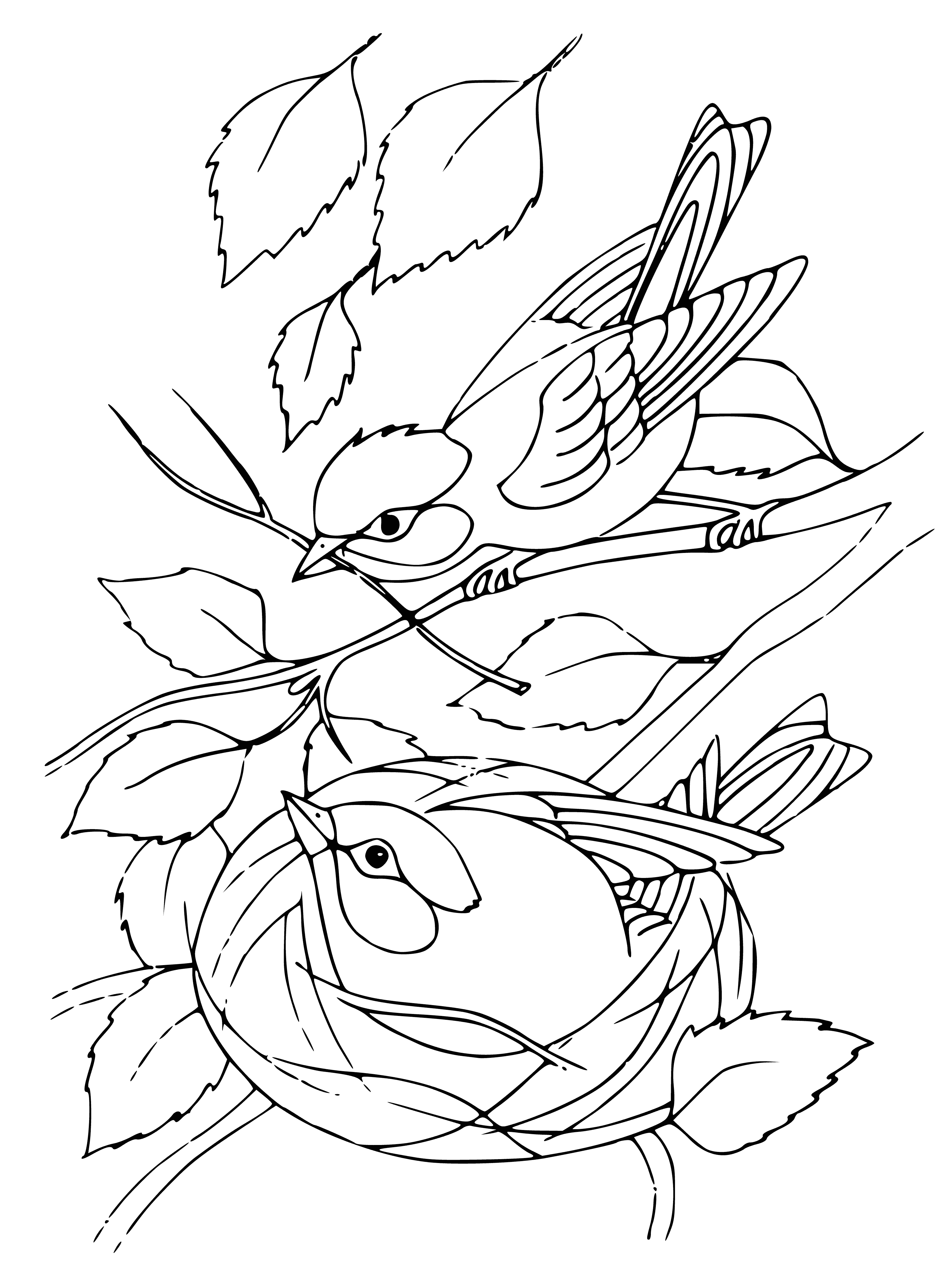 coloring page: Two birds converse on a branch with long beaks & tails, a nest nearby.