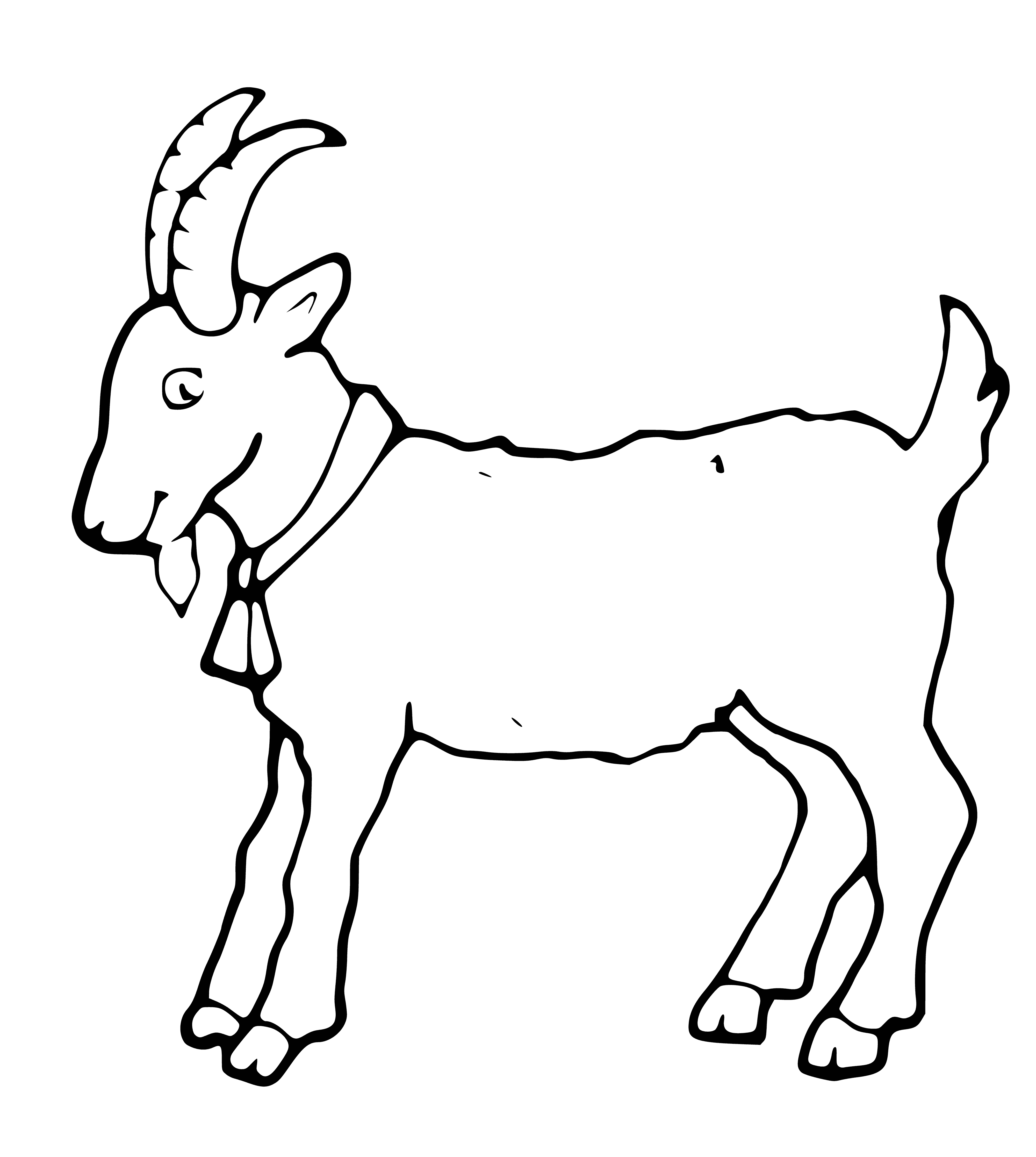 coloring page: A white goat with black spots stands on a hill and eats grass in the coloring page.