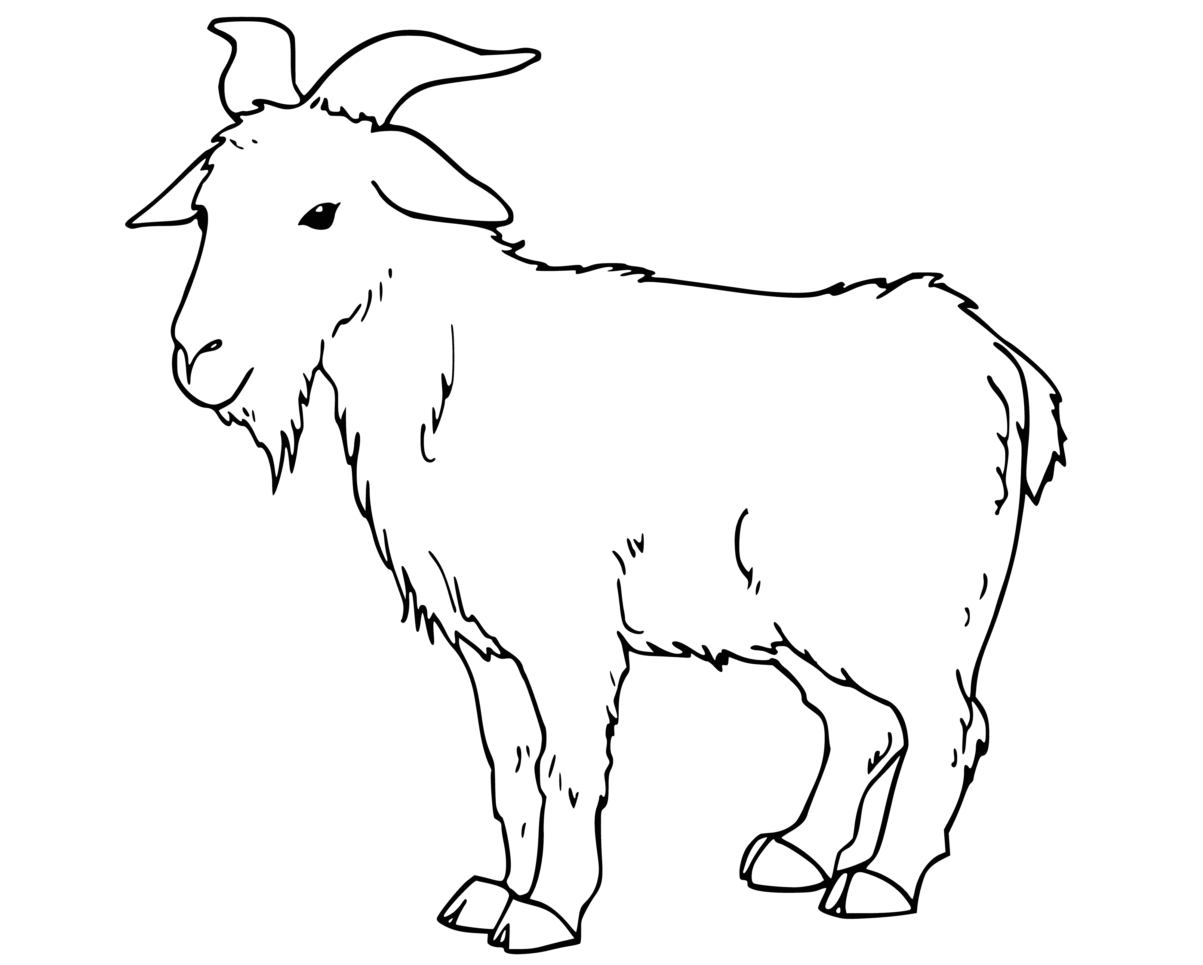 coloring page: Goat w/ long, brown fur, long neck, pointy ears, almond-shaped eyes, black nose, open mouth, thin legs and black hooves.
