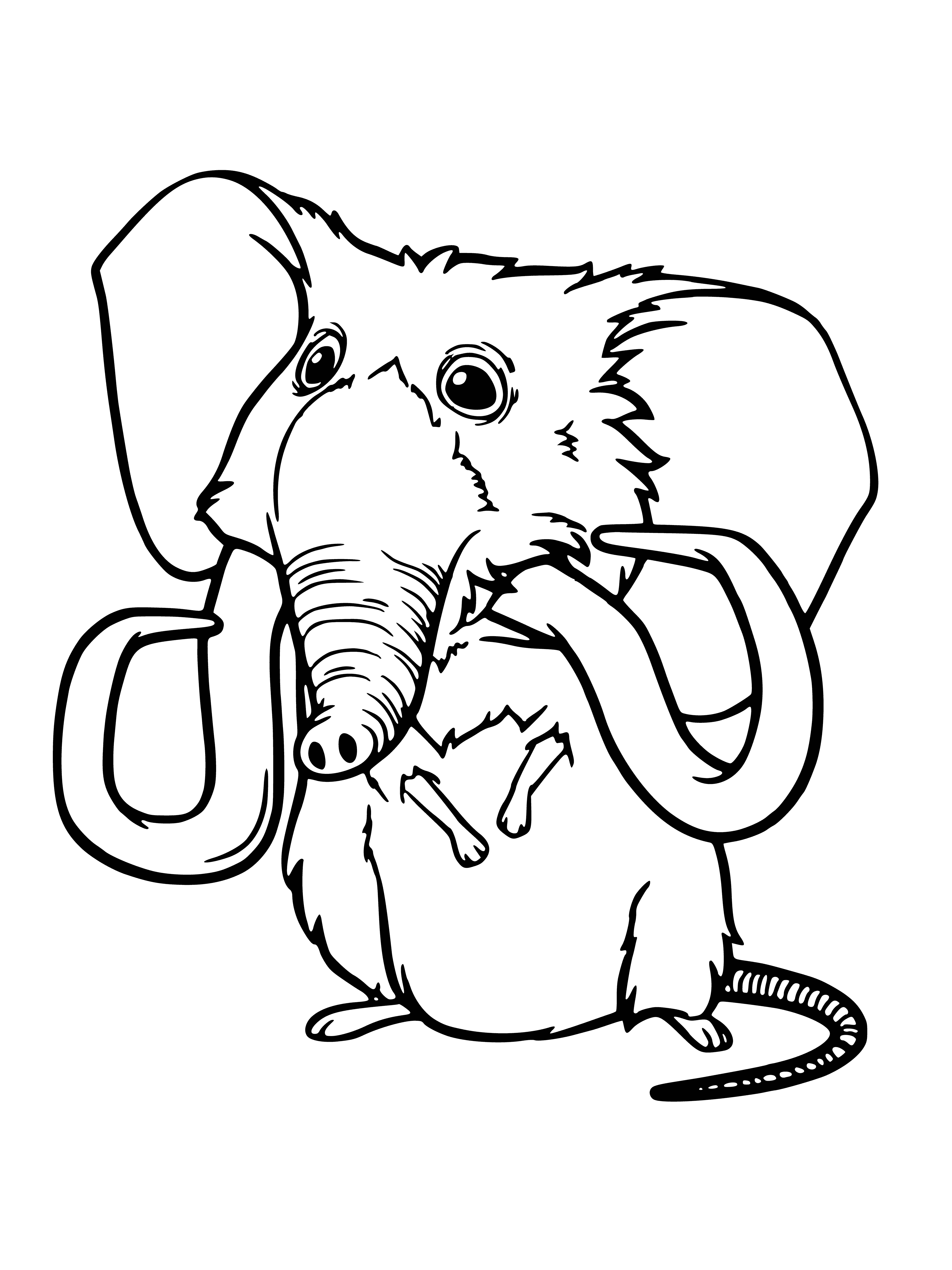coloring page: Adorable rodent-like creature with gray fur, pink nose, big black eyes, and holding two acorns, standing on its hind legs.