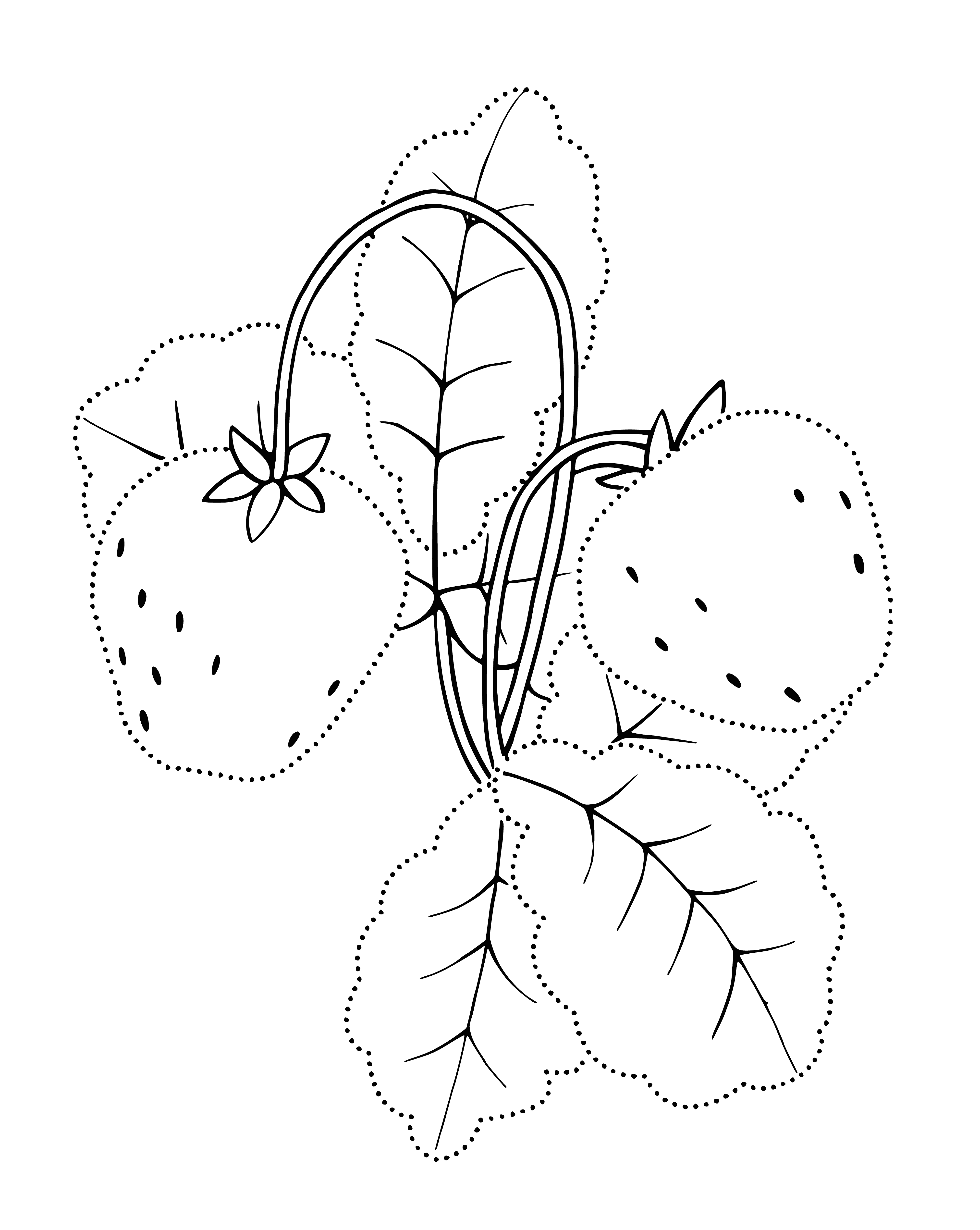 coloring page: A bowl of red, juicy strawberries with a white tip, sweet and ripe.