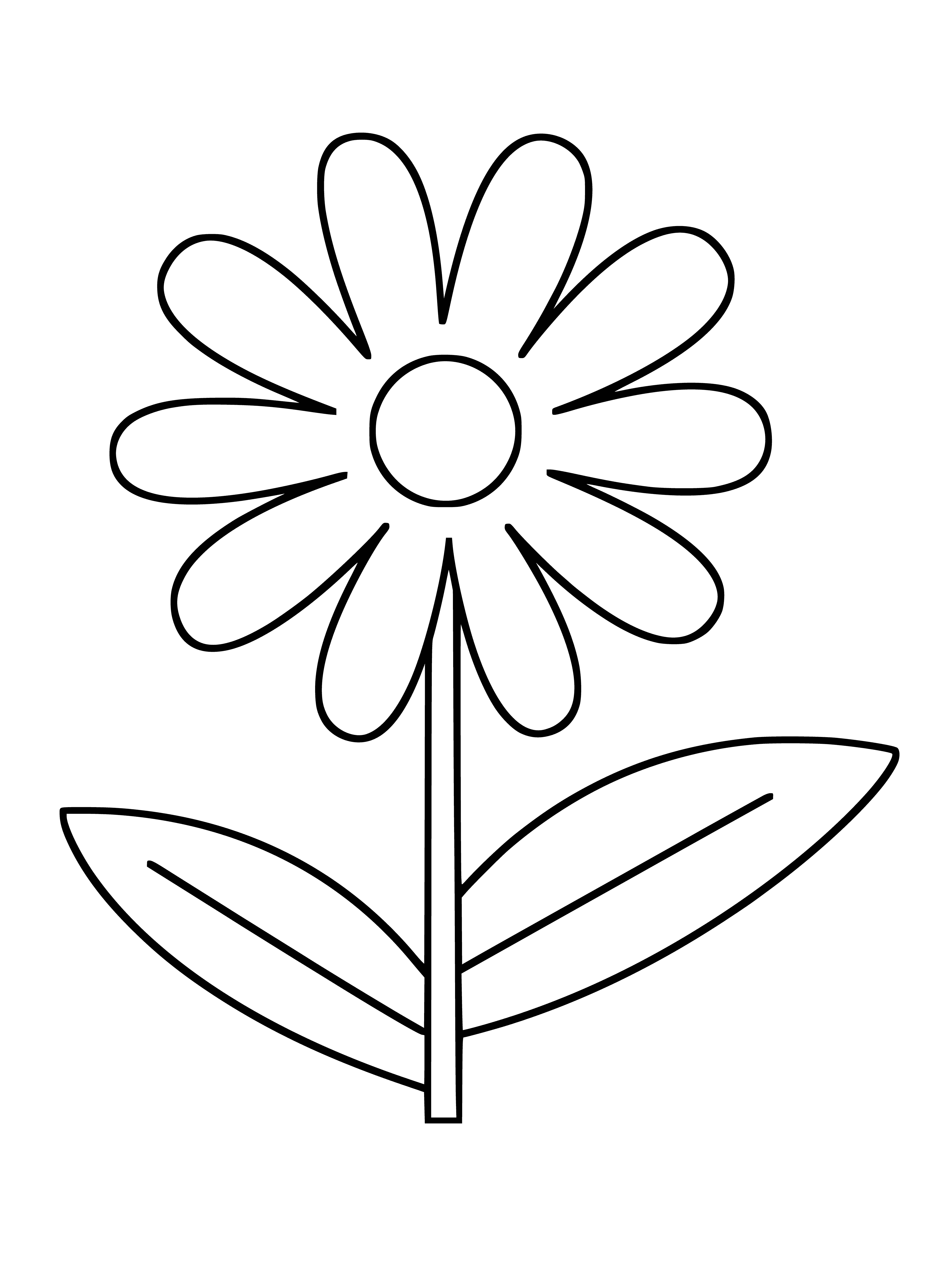 coloring page: Chamomile flowers have white & yellow petals, fringed edges, & yellow pollen in the center. Long, thin leaves & multiple flowers on a stalk.