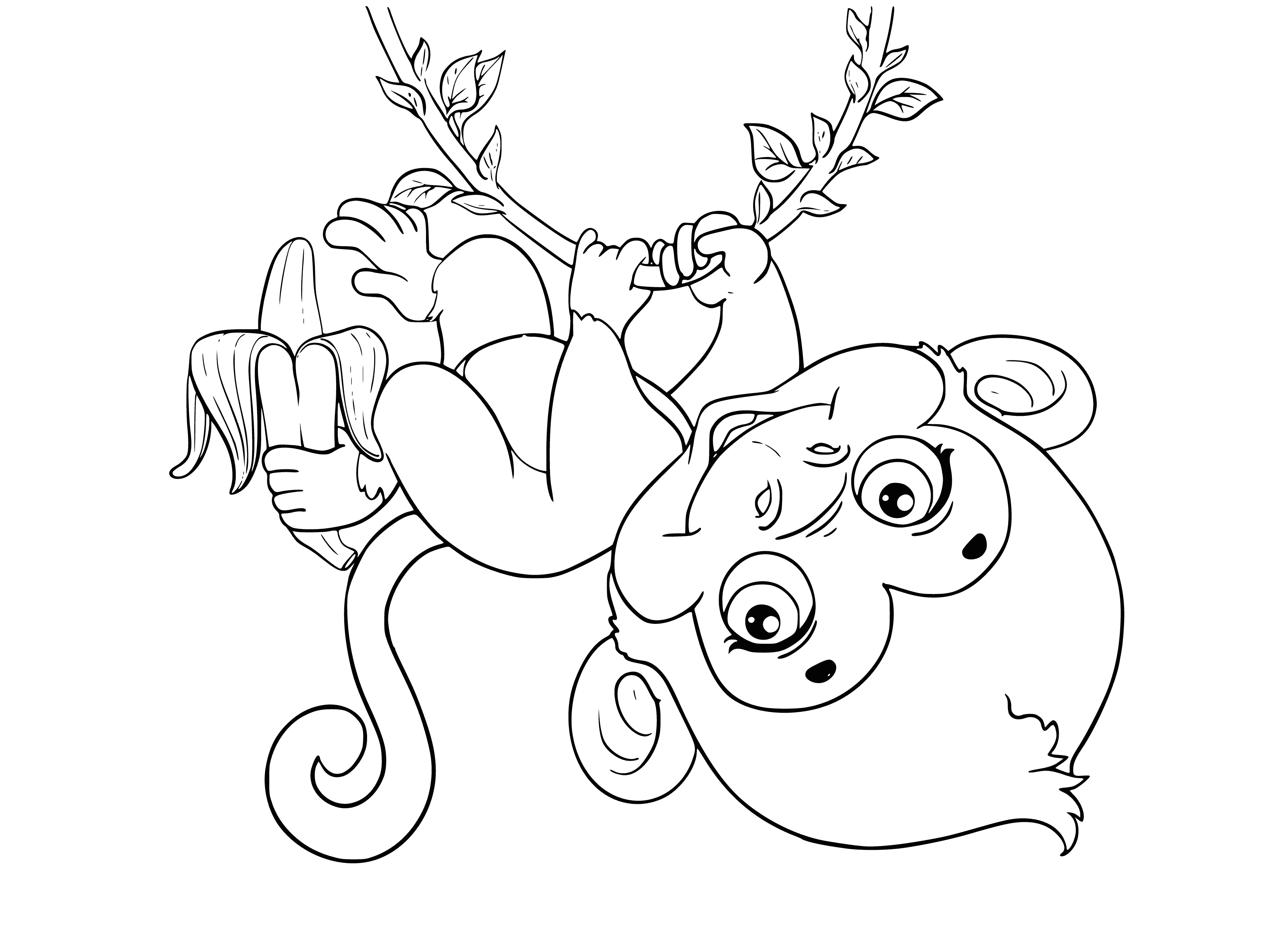 coloring page: Monkey hangs from branch, long tail, looking to side.
