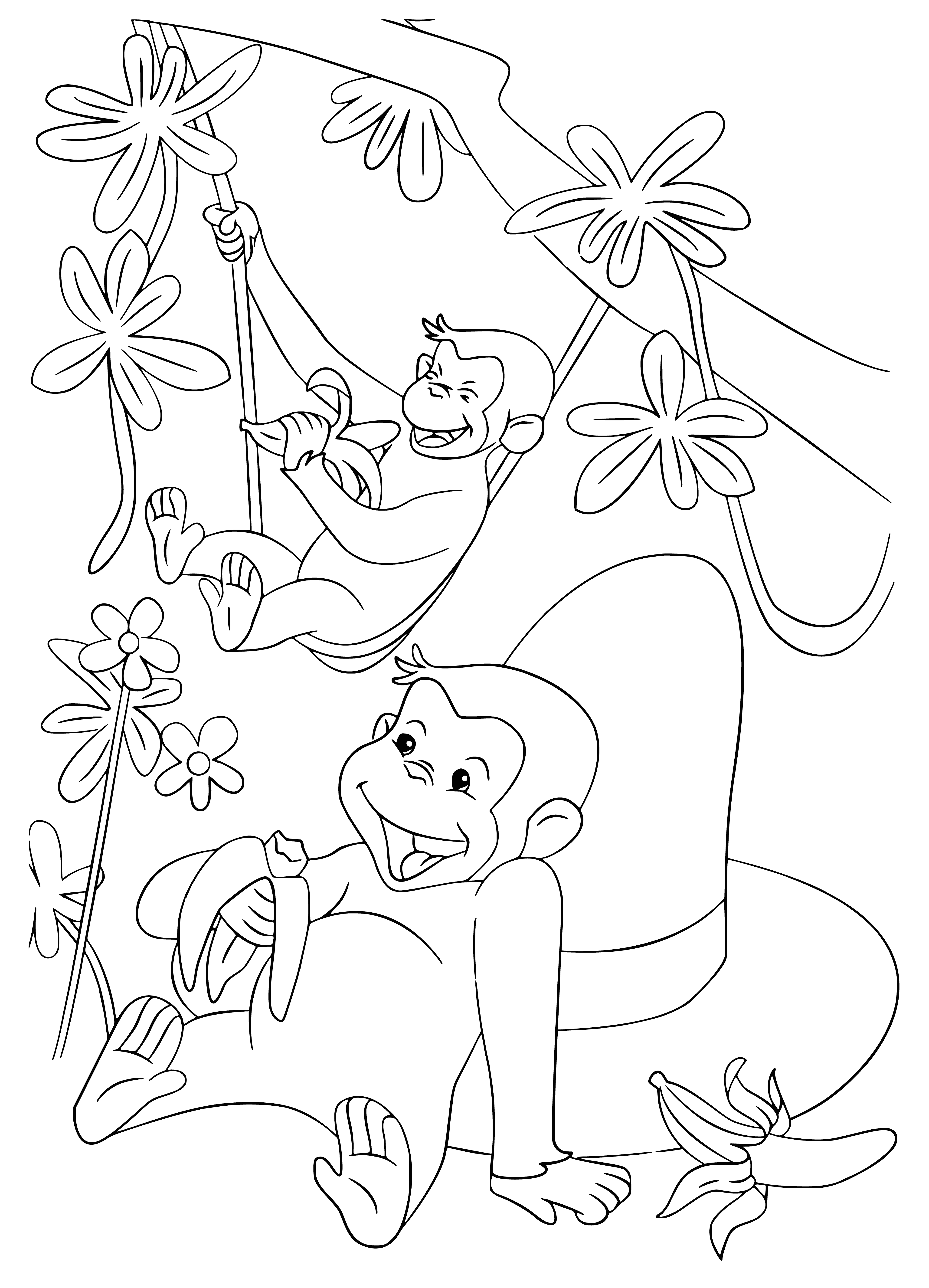 coloring page: 4 monkeys: 2 on ground, 2 on tree branch, looking at each other & up/down.