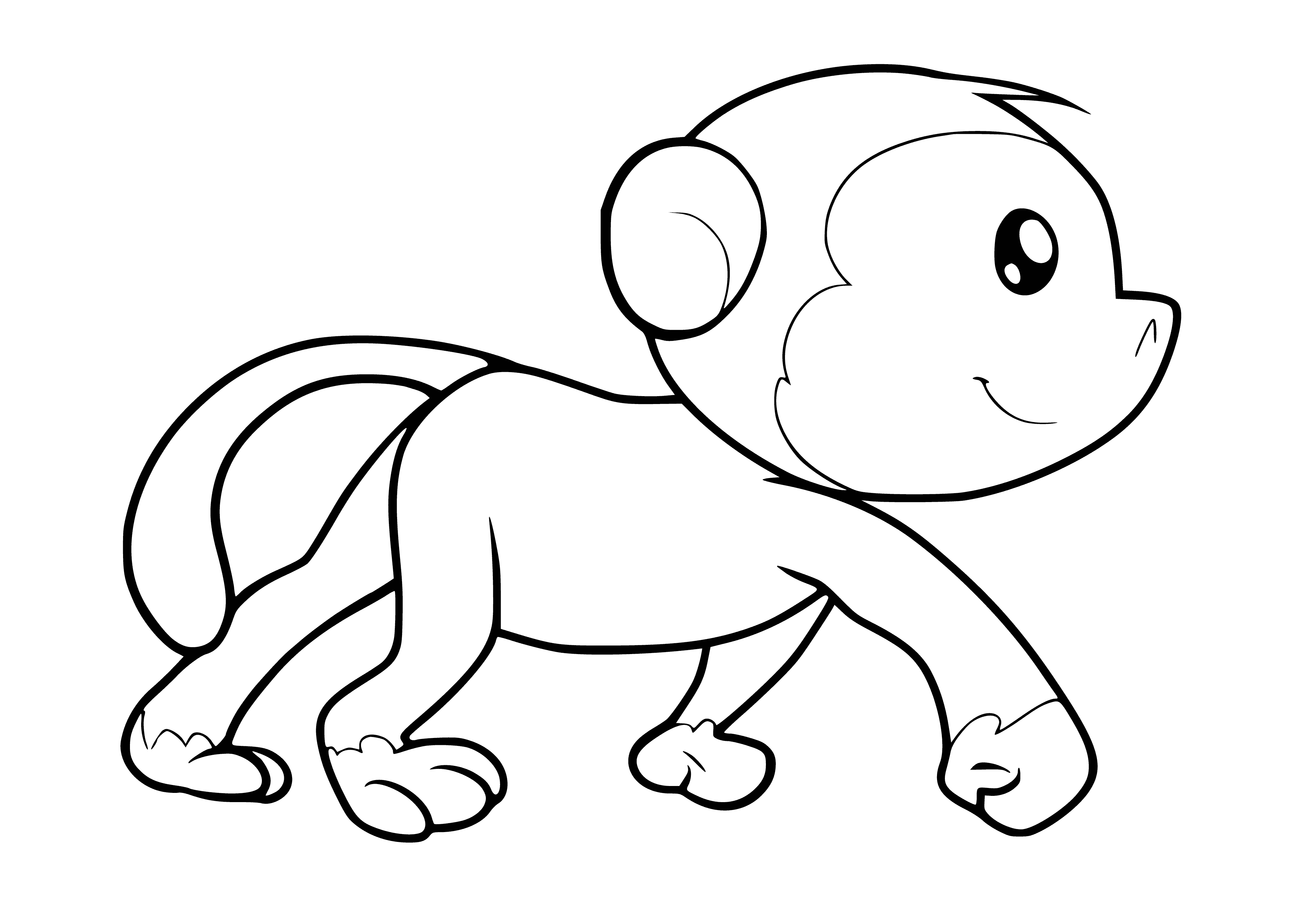 coloring page: Monkey hungrily eats banana while dangling one-handed from tree branch - long tail hanging below. Gazing off to the side.