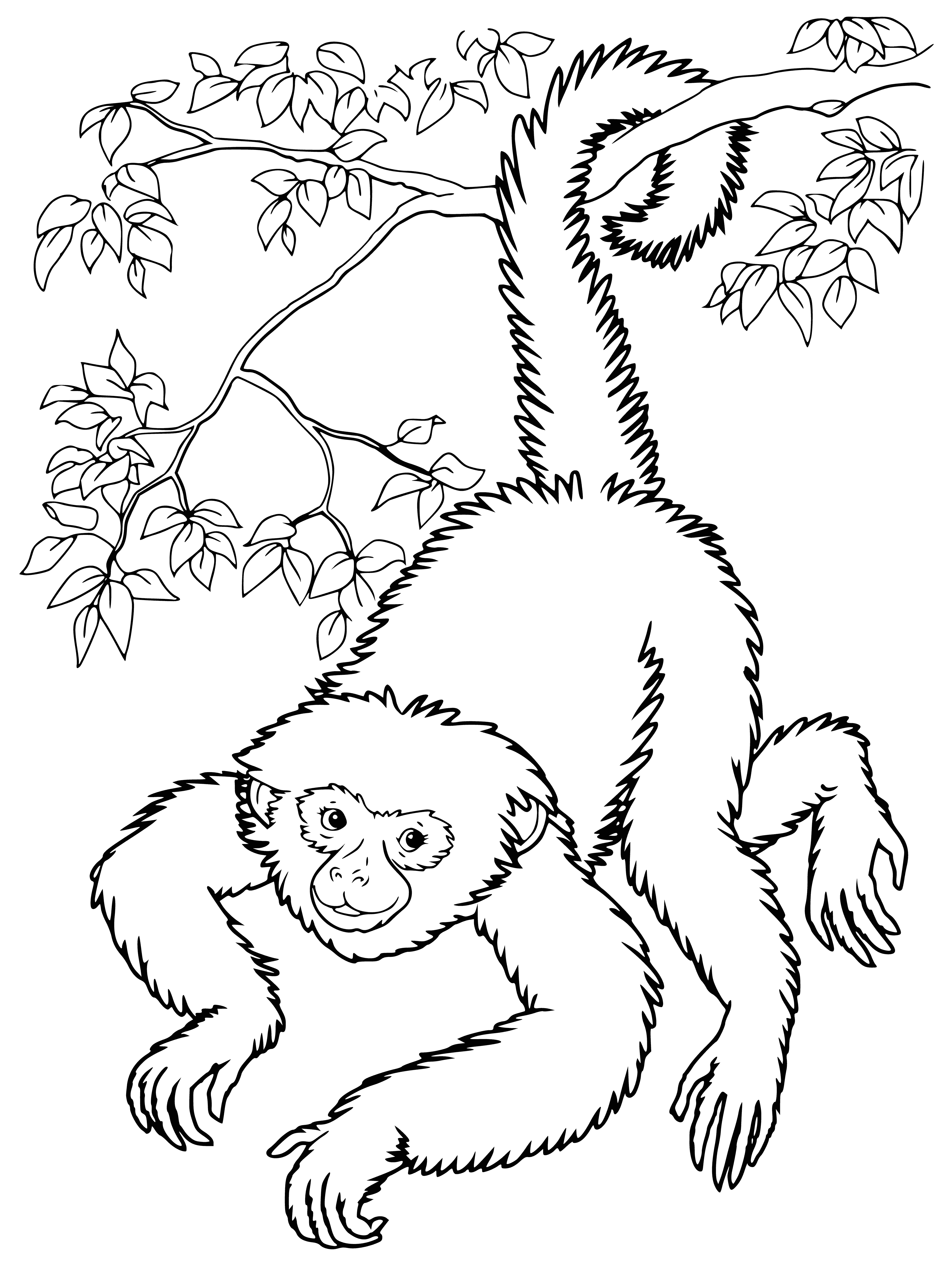 coloring page: 5 monkeys in coloring page—3 w/ eyes covered, 1 w/ mouth, 1 w/ eyes & mouth open.