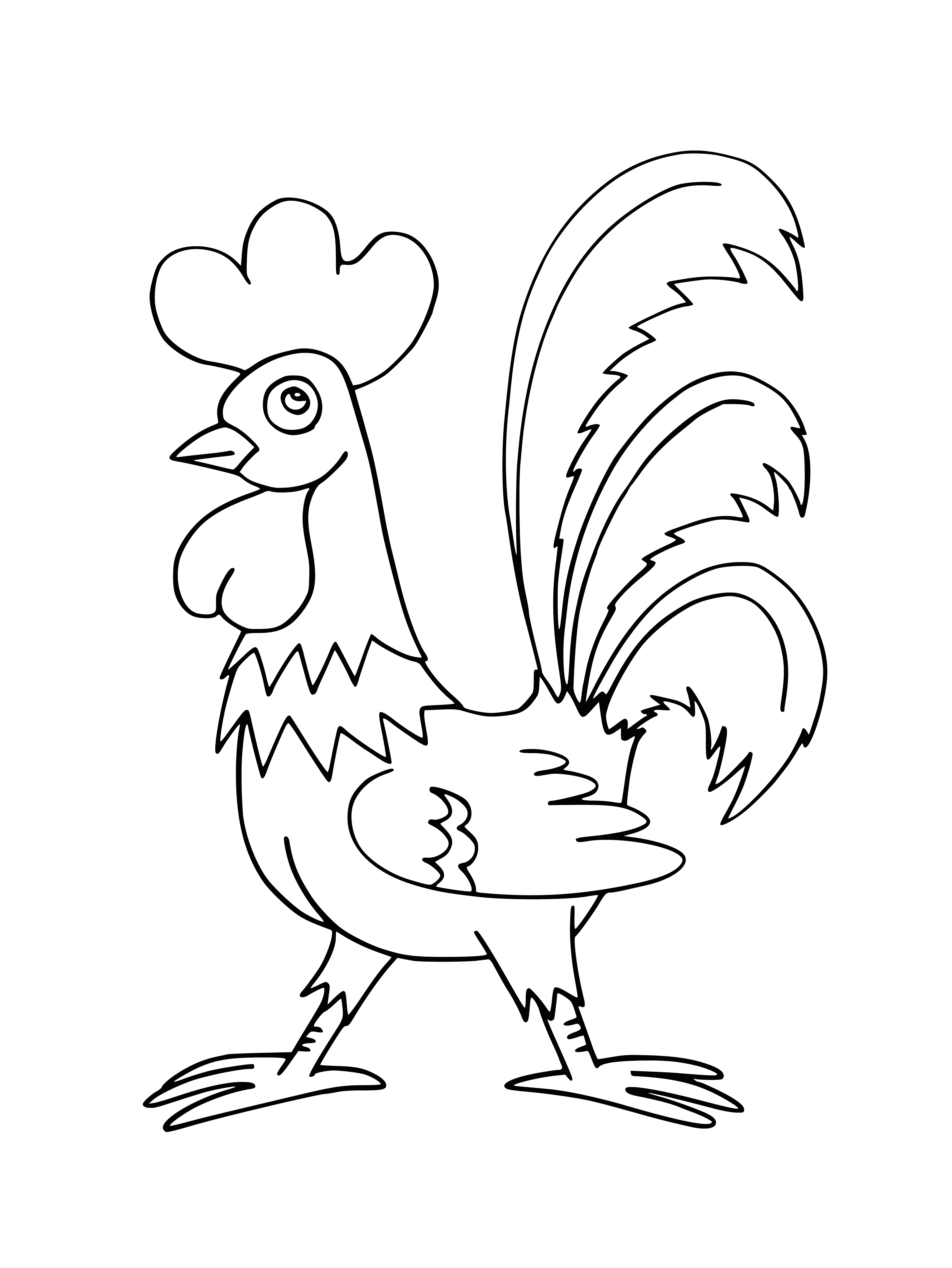 coloring page: A male chicken with a large comb, wattles & long, pointy tail feathers.