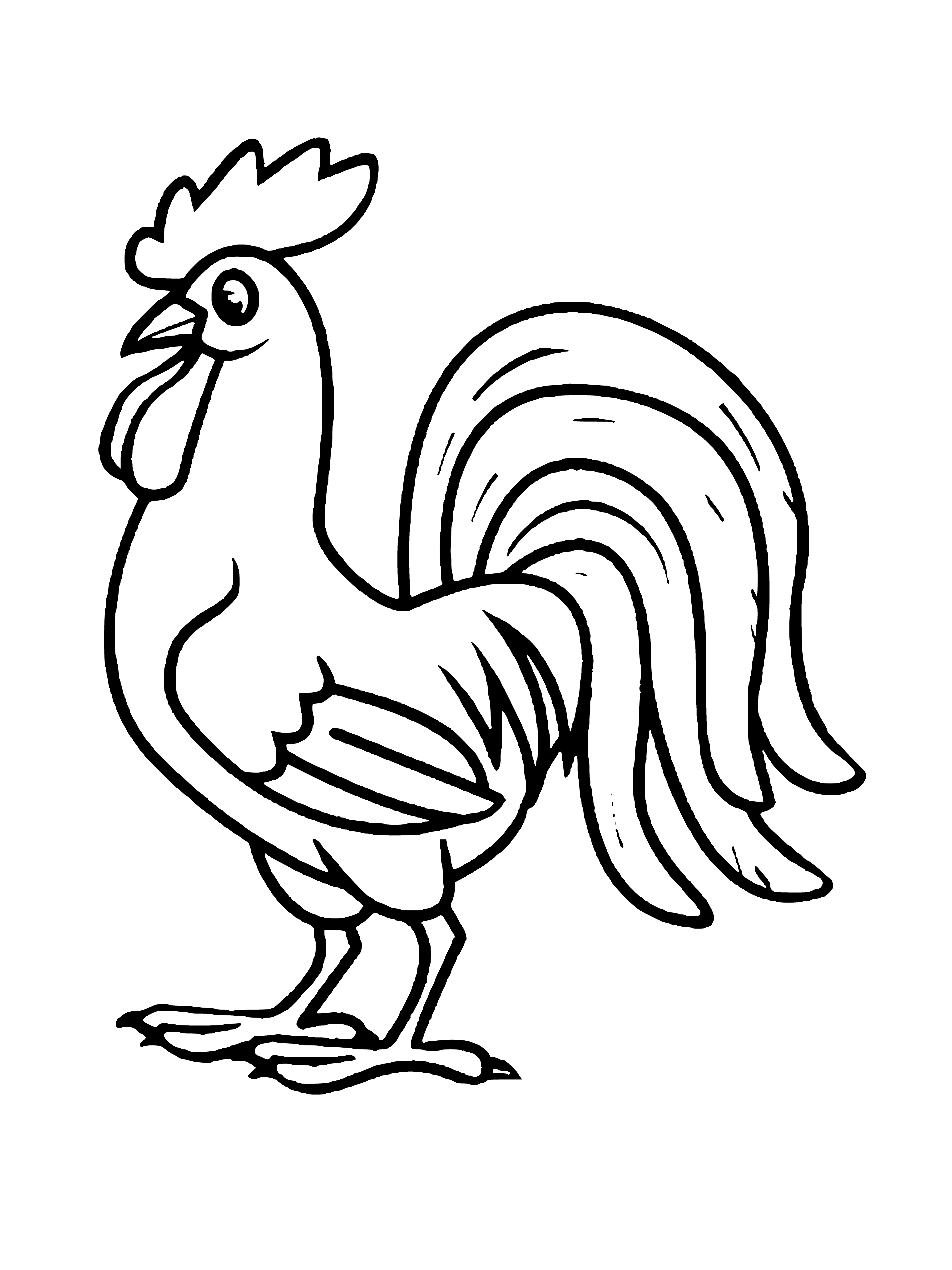 coloring page: The rooster has a crown of feathers & a long tail. Usually red, it crows to announce the dawn.