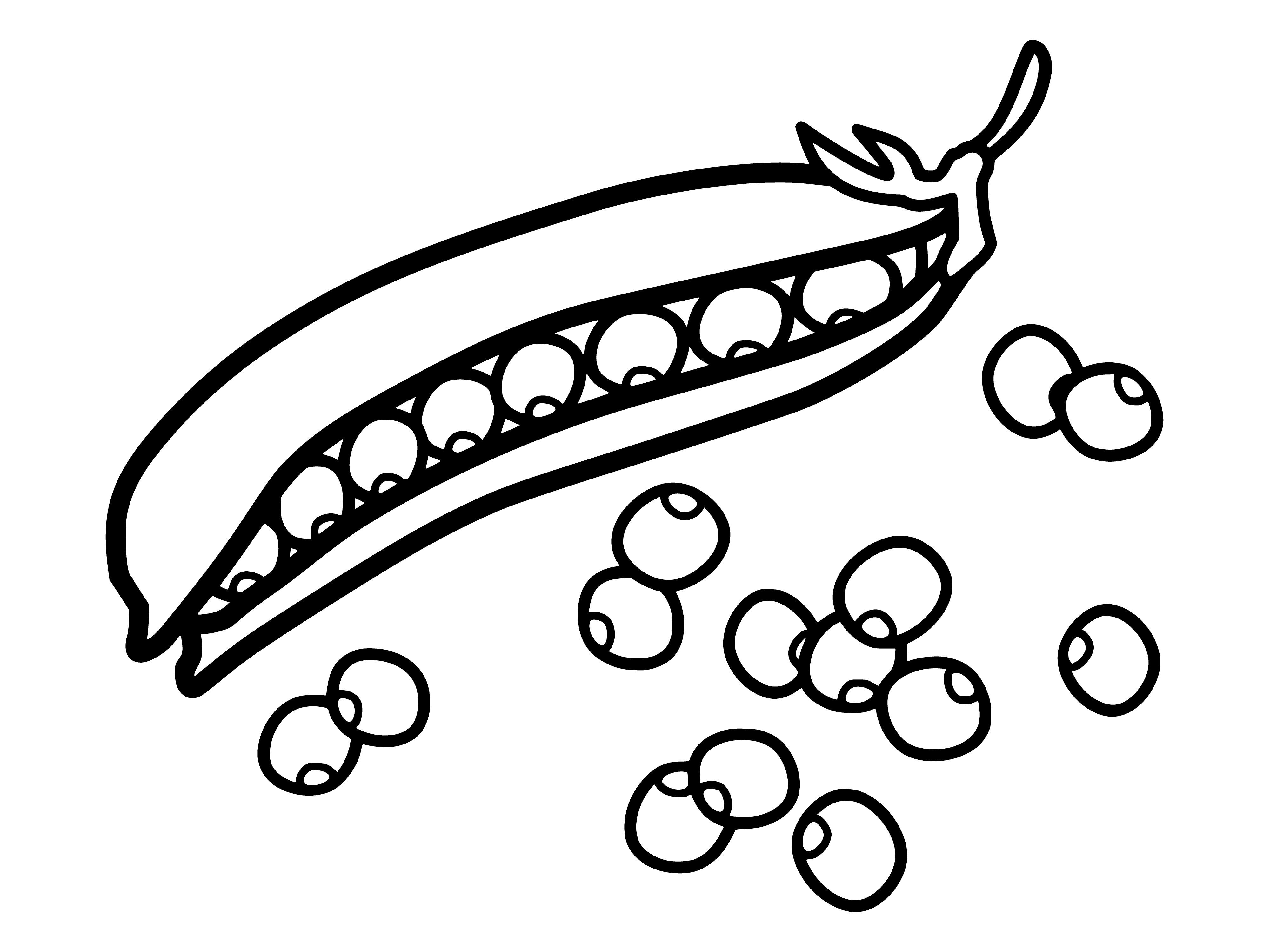 coloring page: 6 small green peas on a white plate are lined up in two rows of three, each with a dark green stem attached, lying on a bed of white rice.