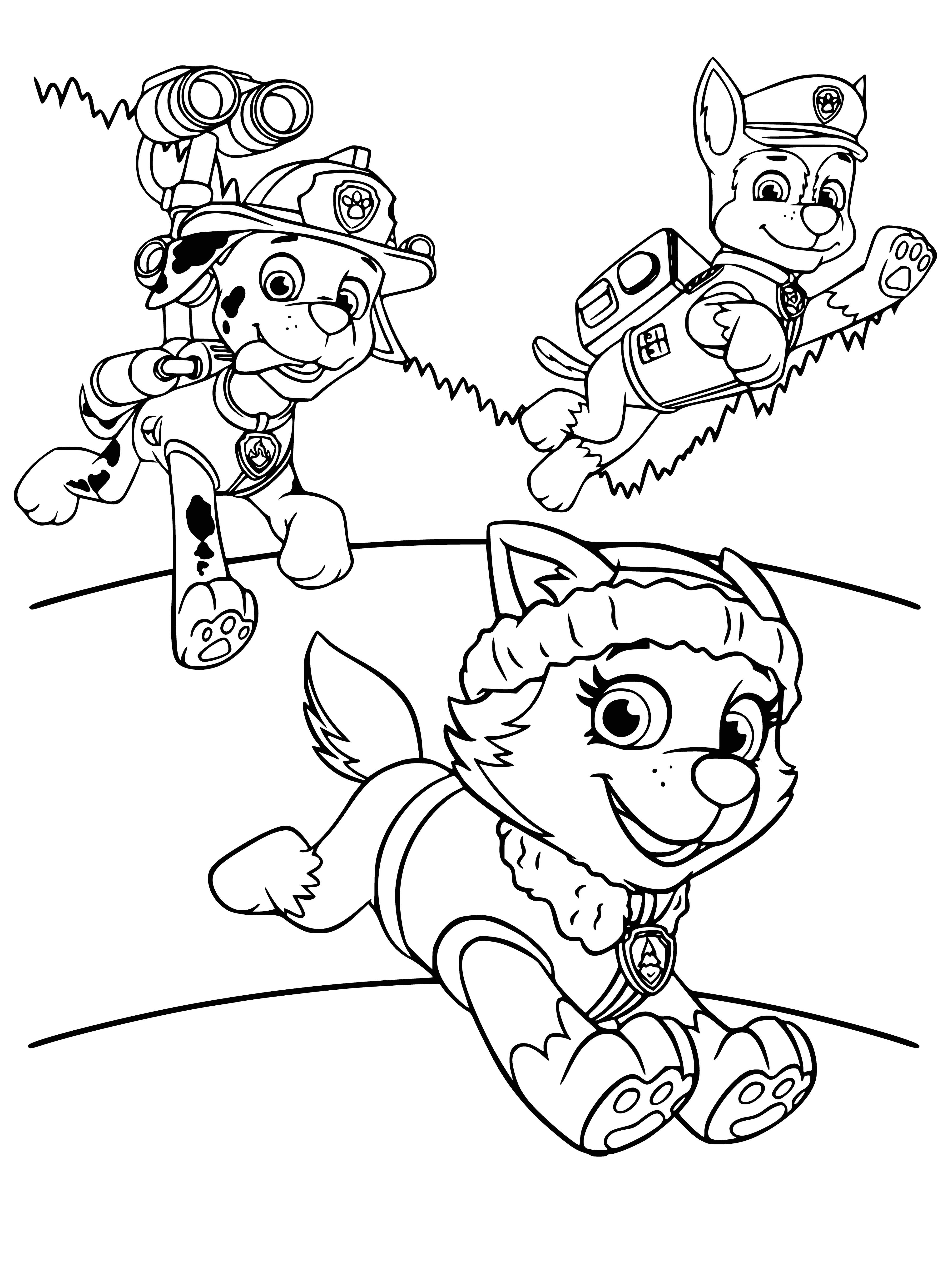 coloring page: The PAW Patrol team is led by Ryder & consists of Everest, Marshal & Racer - the snow, fire & stunt dog experts!