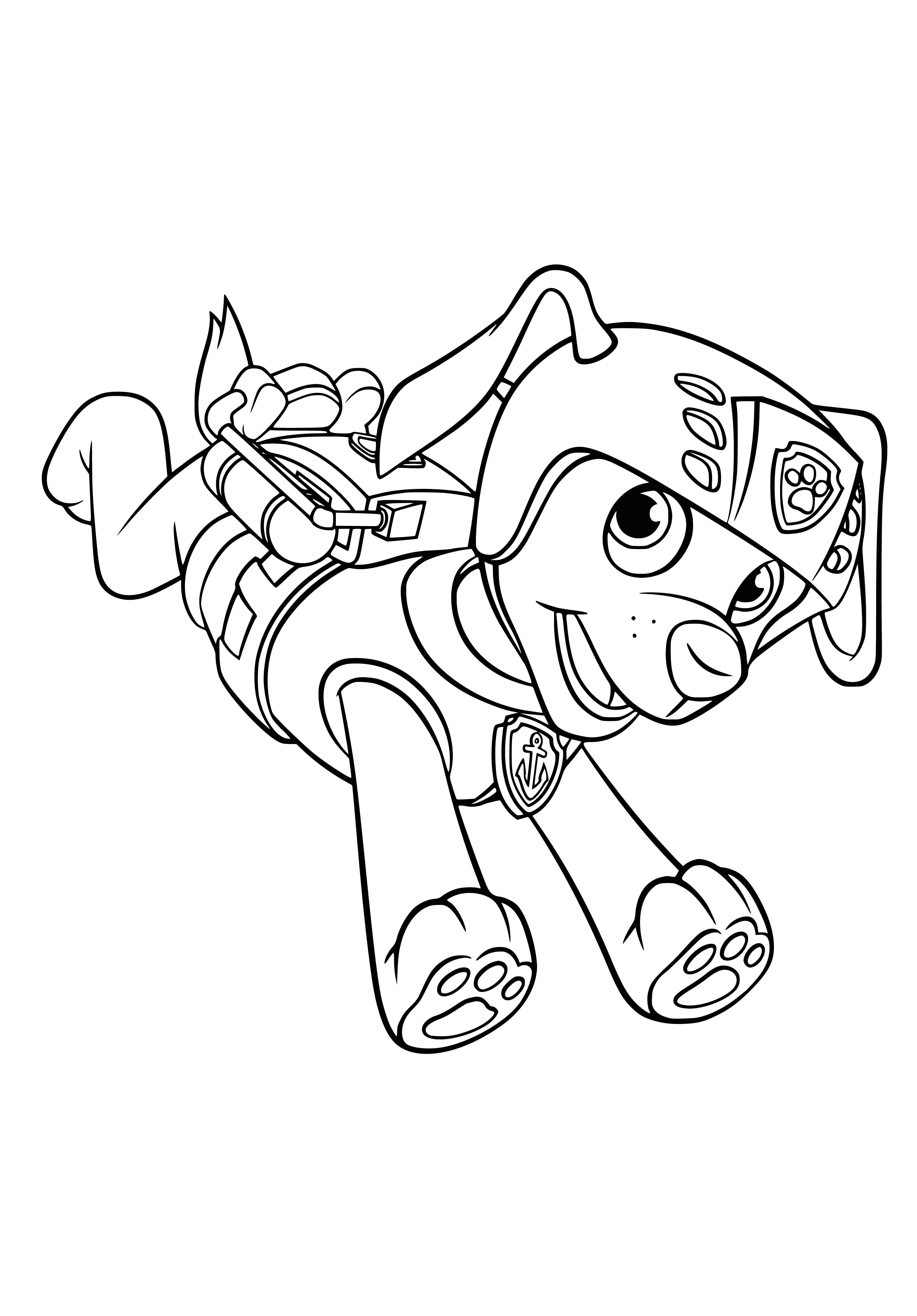 coloring page: Zuma is the PAW Patrol water rescue pup who uses his backpack and surfboard to save animals.