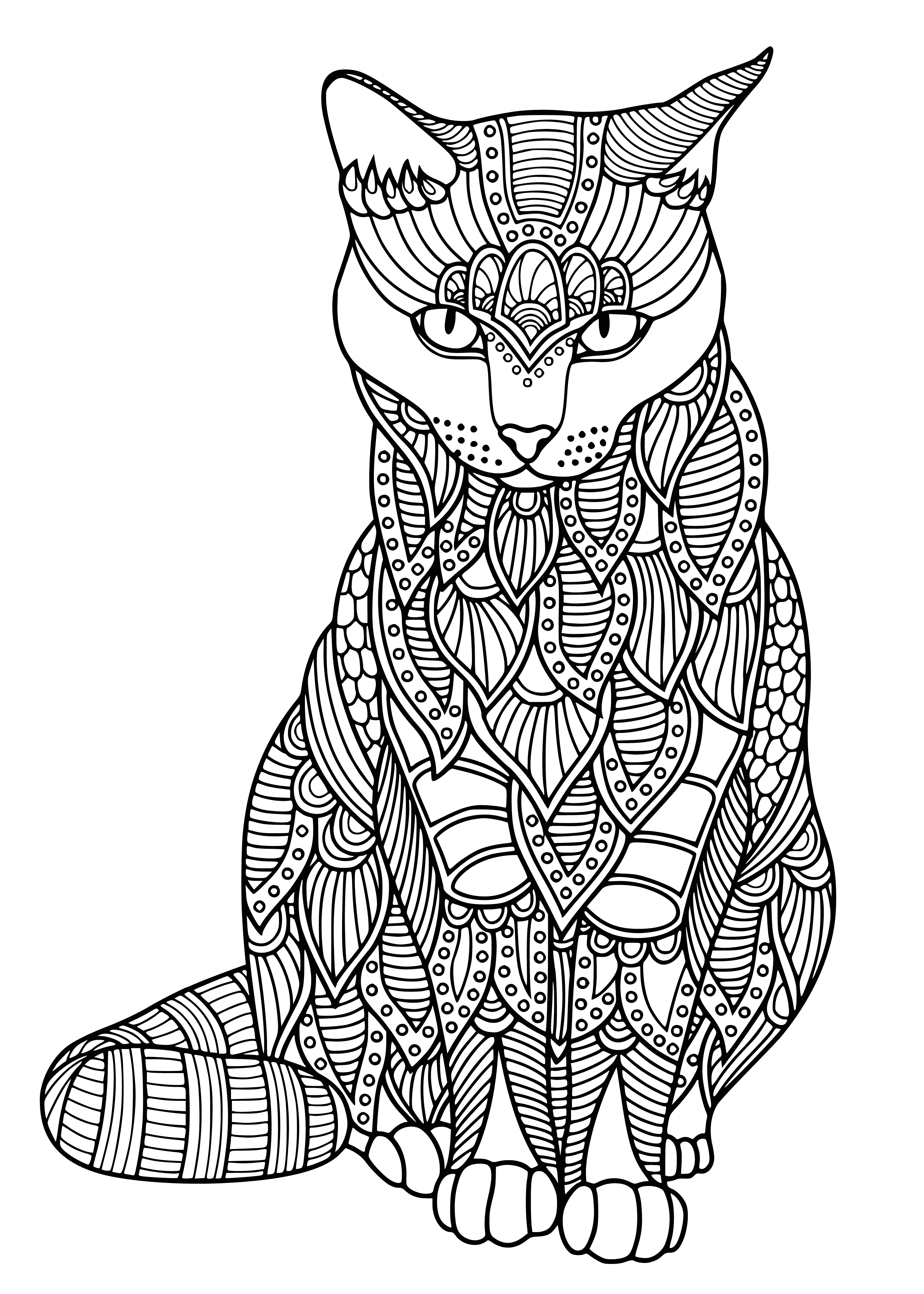 coloring page: Sleeping black & white cat, head on paws, tail wrapped around pillow.
