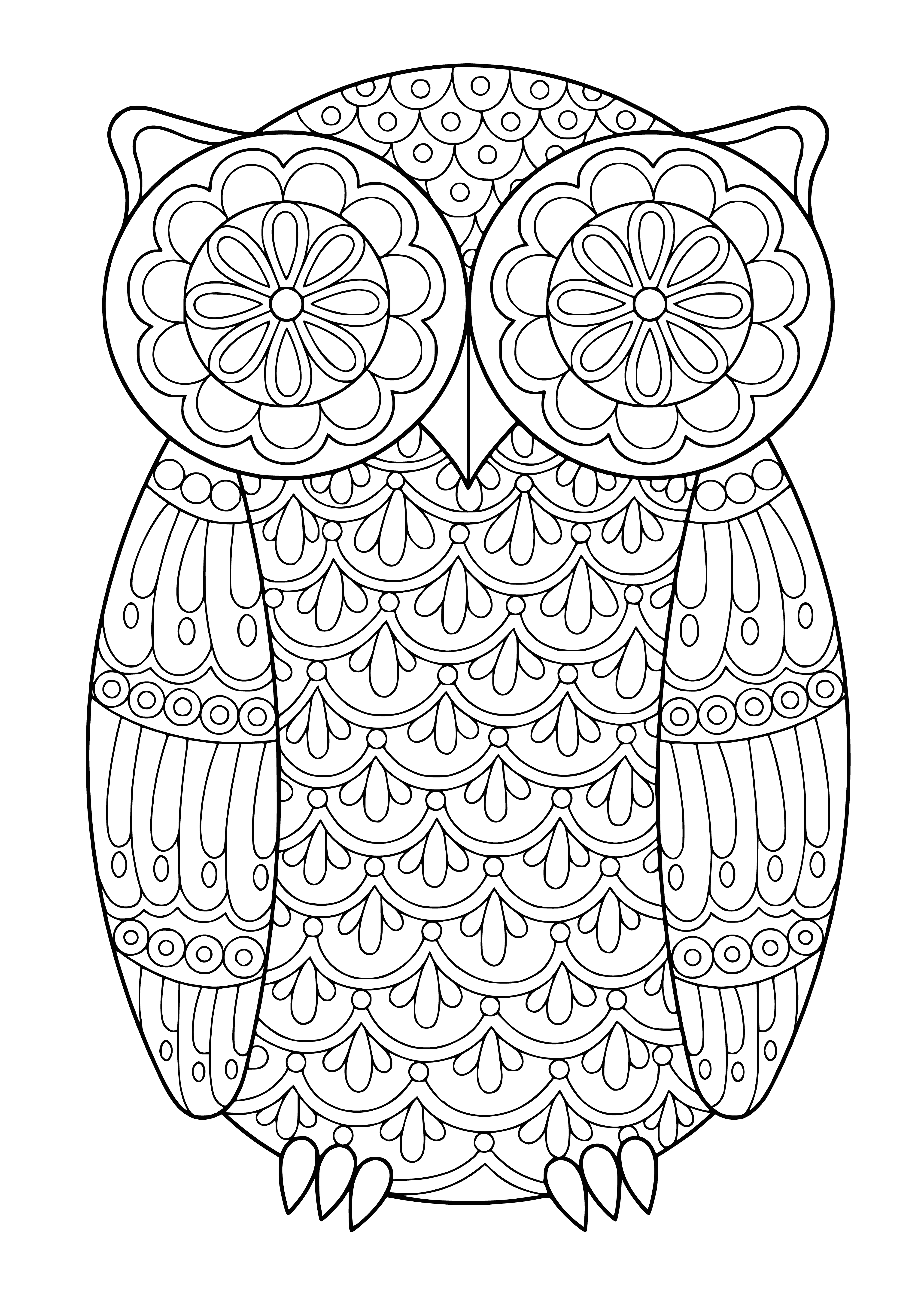 coloring page: Two owls perched, one looking to side, other looking forward. Wings folded.