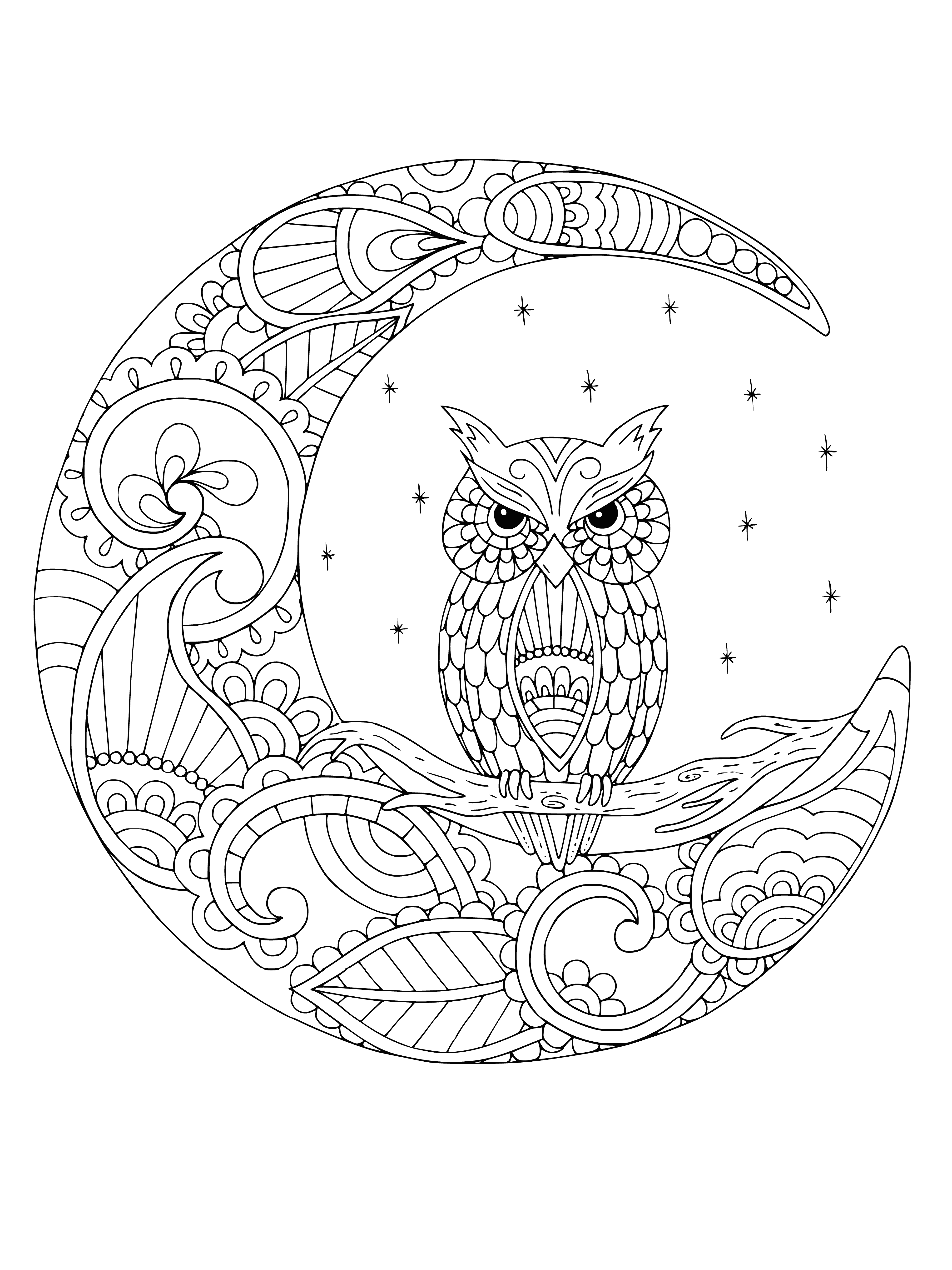 coloring page: Two owls sit on a branch, one looking at the moon, the other at the viewer.