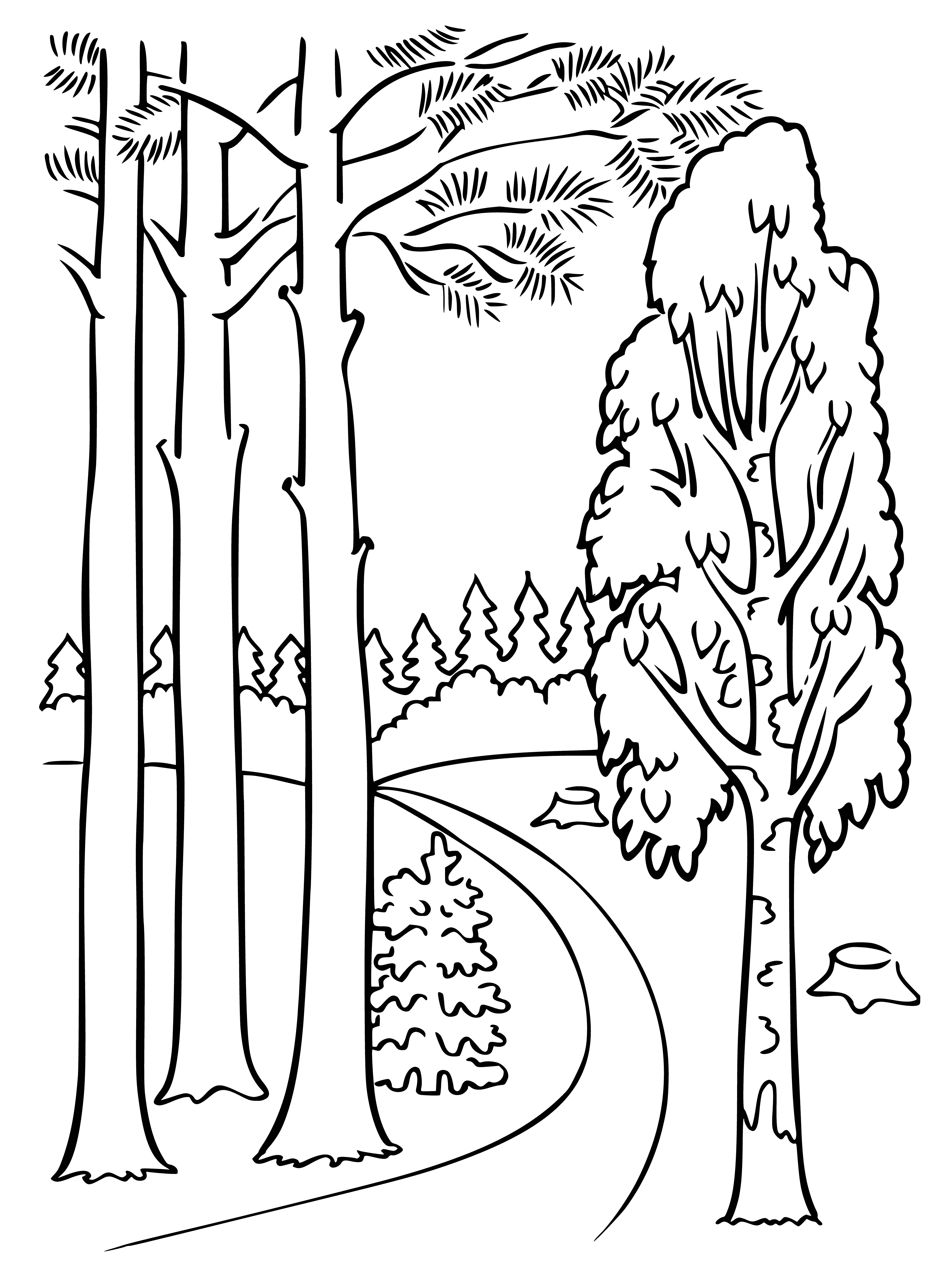 coloring page: Path of dirt & rocks in a forest of tall trees & greenery. Peaceful & empty.
