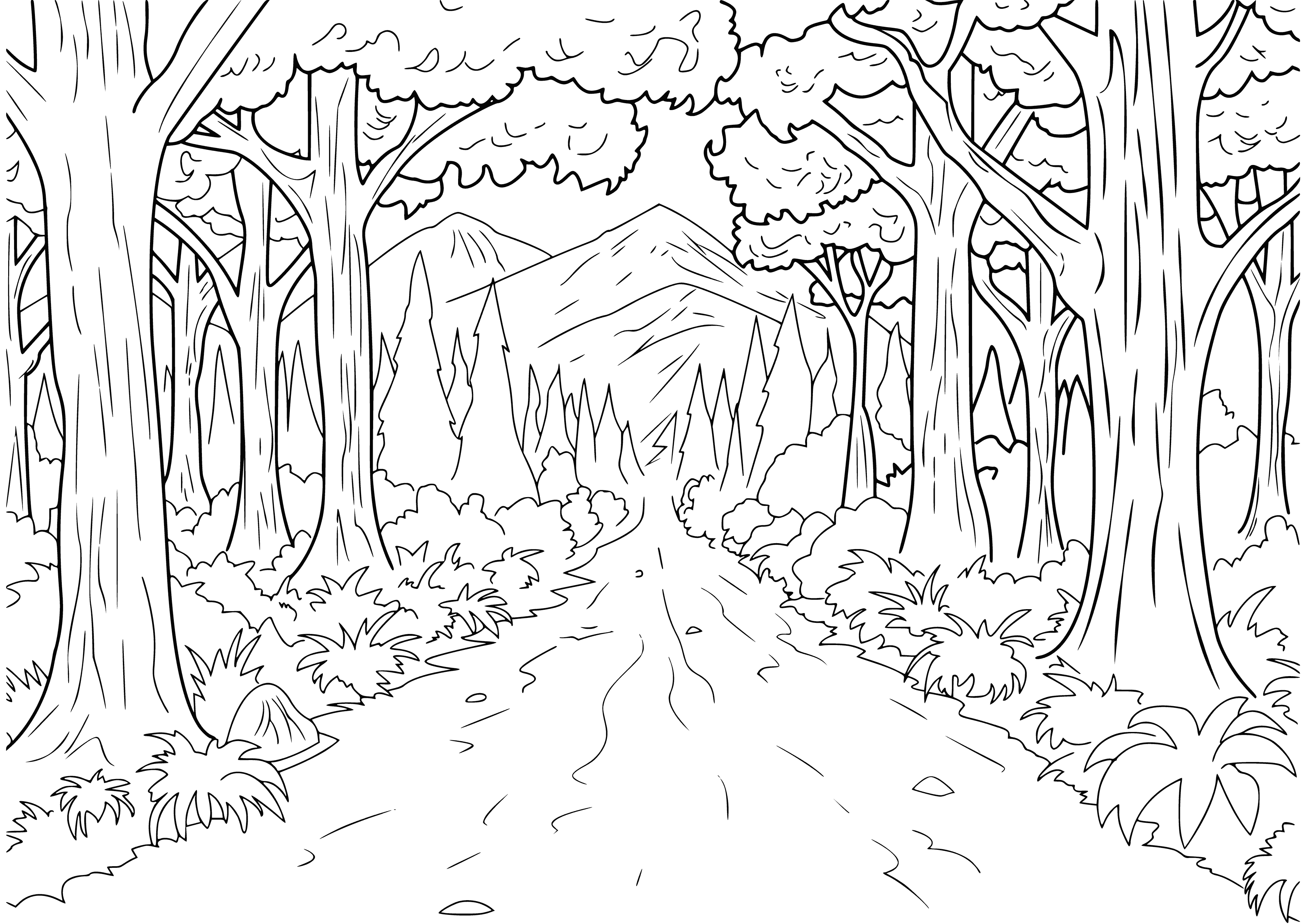 coloring page: Coloring page shows a dirt road lined with green trees and brown/yellow leaves; blue sky with white clouds.