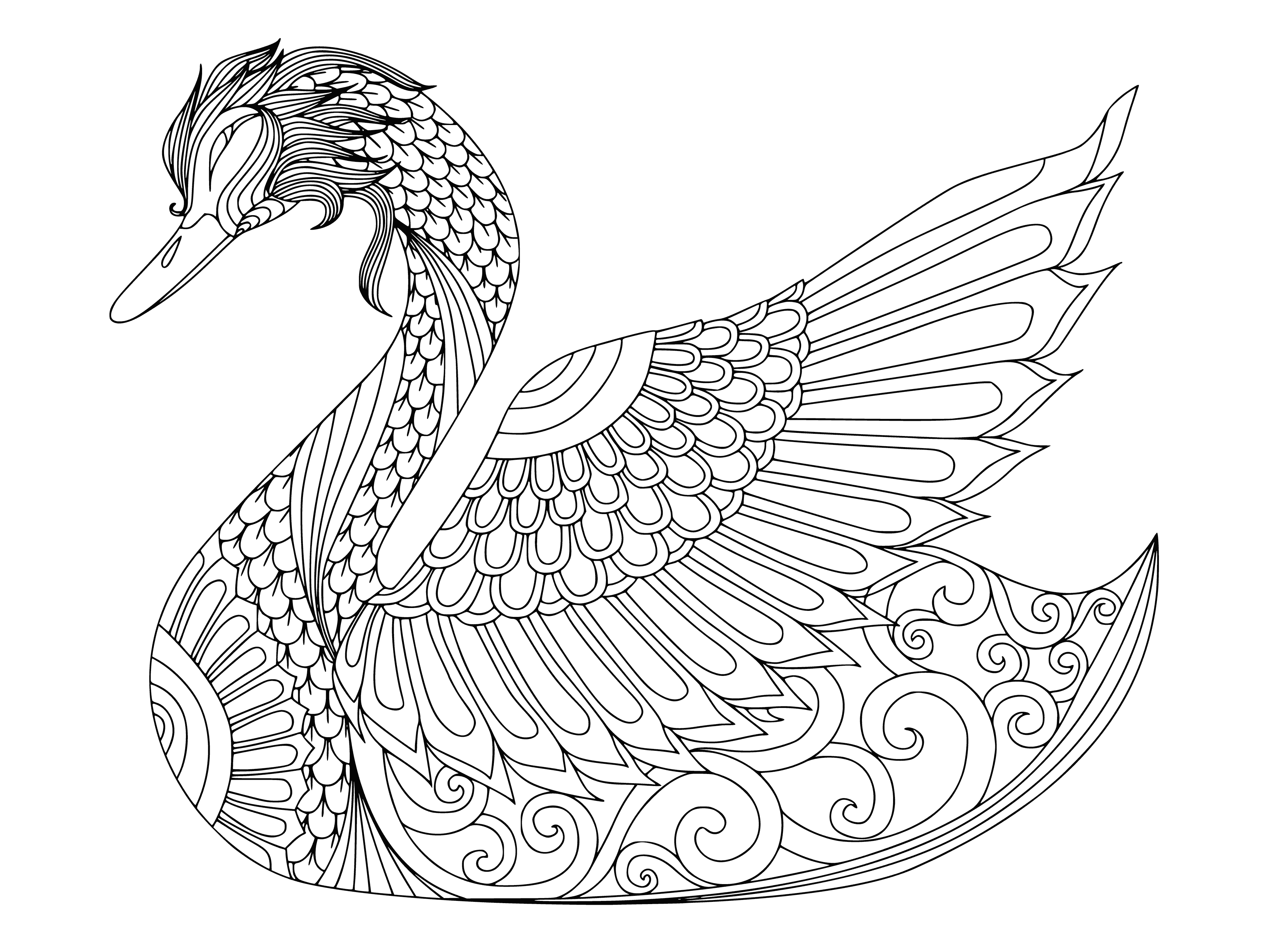 coloring page: Swan peacefully glides in lake with curved neck, white feathers and black beak, looking calm and serene.