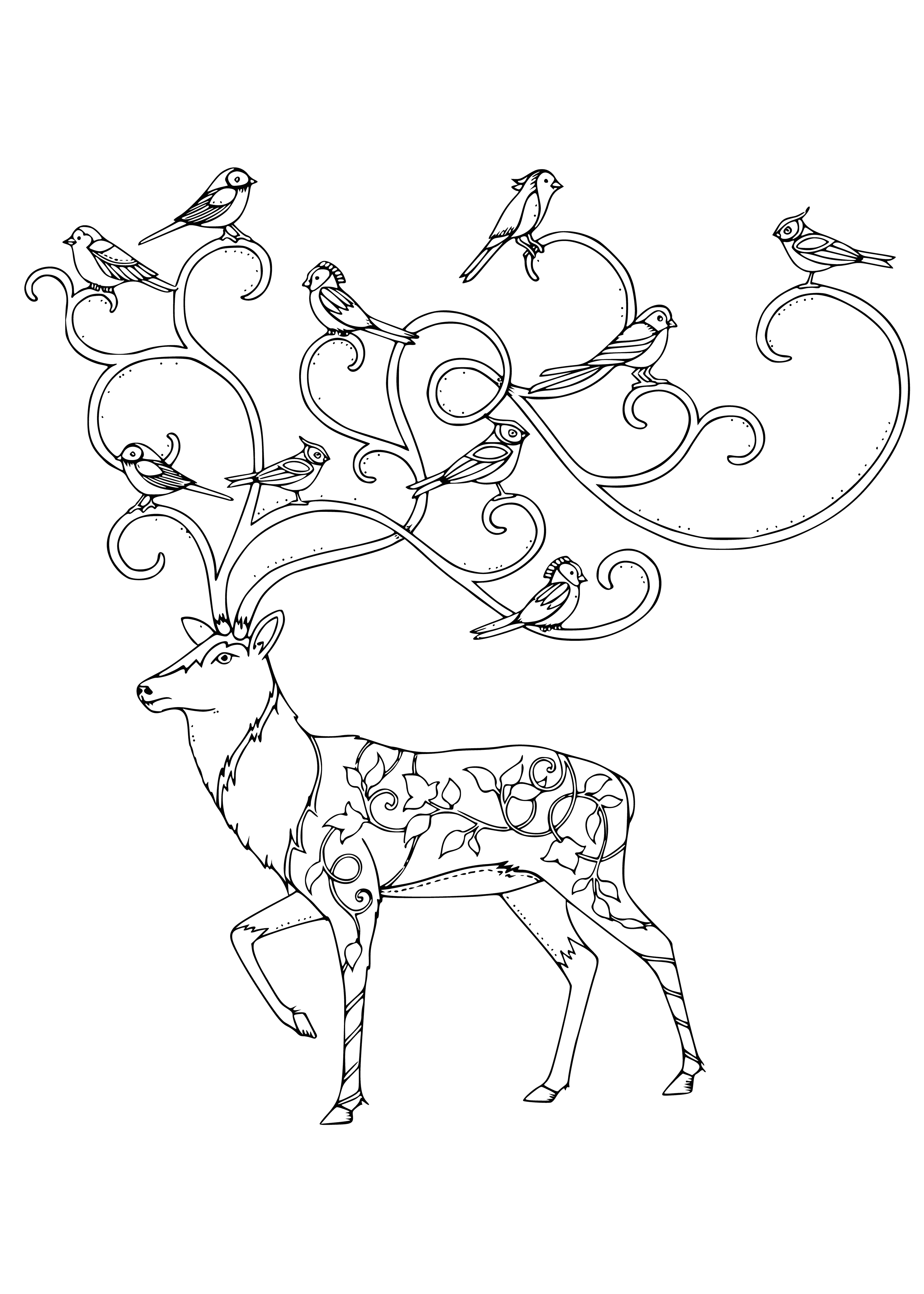 coloring page: Deer stands in a forest looking at trees in Antistress Animals coloring page.