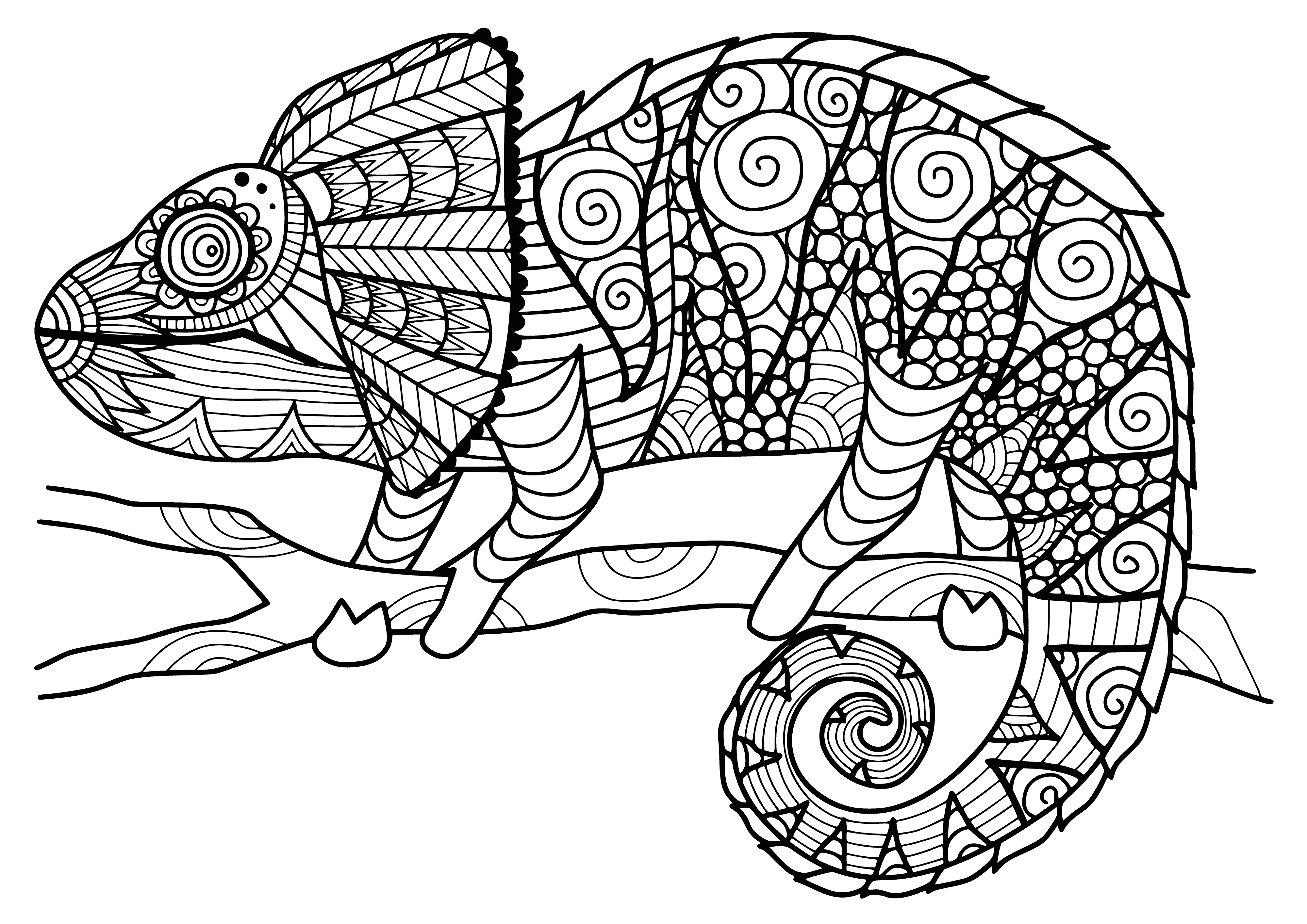 coloring page: Colorful chameleon perched on a branch with long body, tail, and spotted skin; large eyes and protruding. #coloring