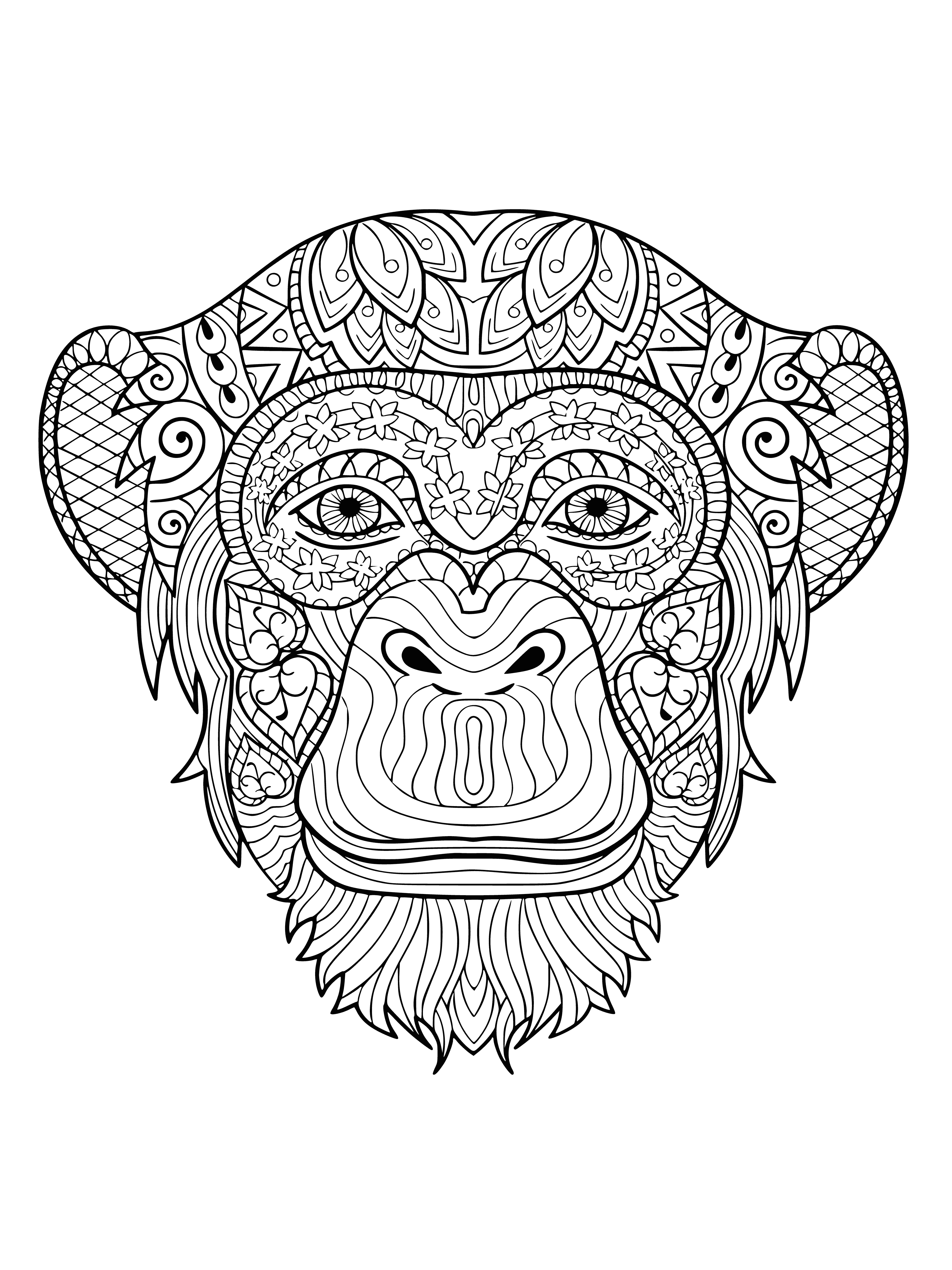 coloring page: Chimp sits cross-legged with arms around knees, head tilted, small smile; black fur, white chest & feet; large, round ears; long nose, brown eyes, prominent eyebrows.